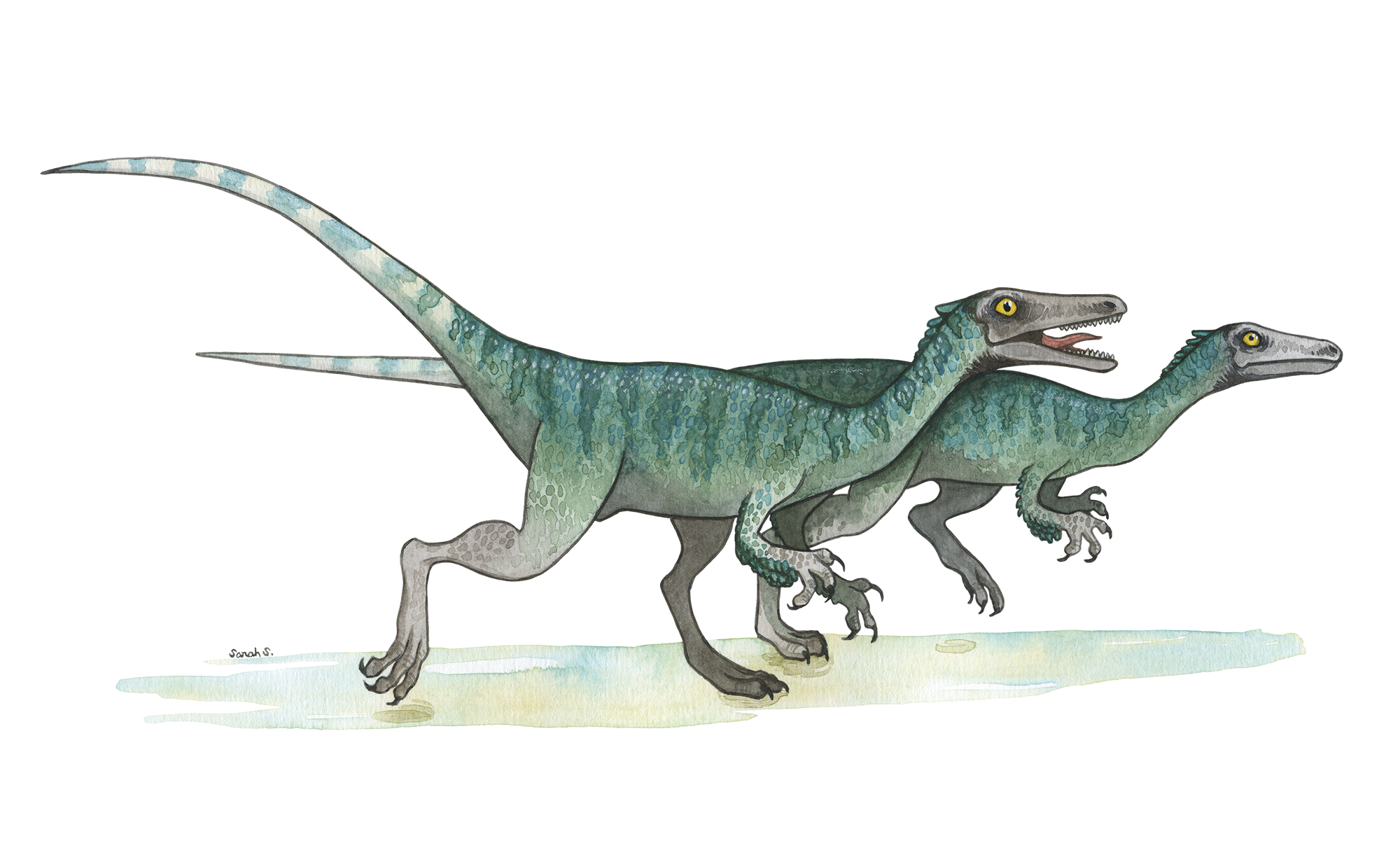 Des Géofèves pour le dernier café-débat de la Réserve géologique du Lot