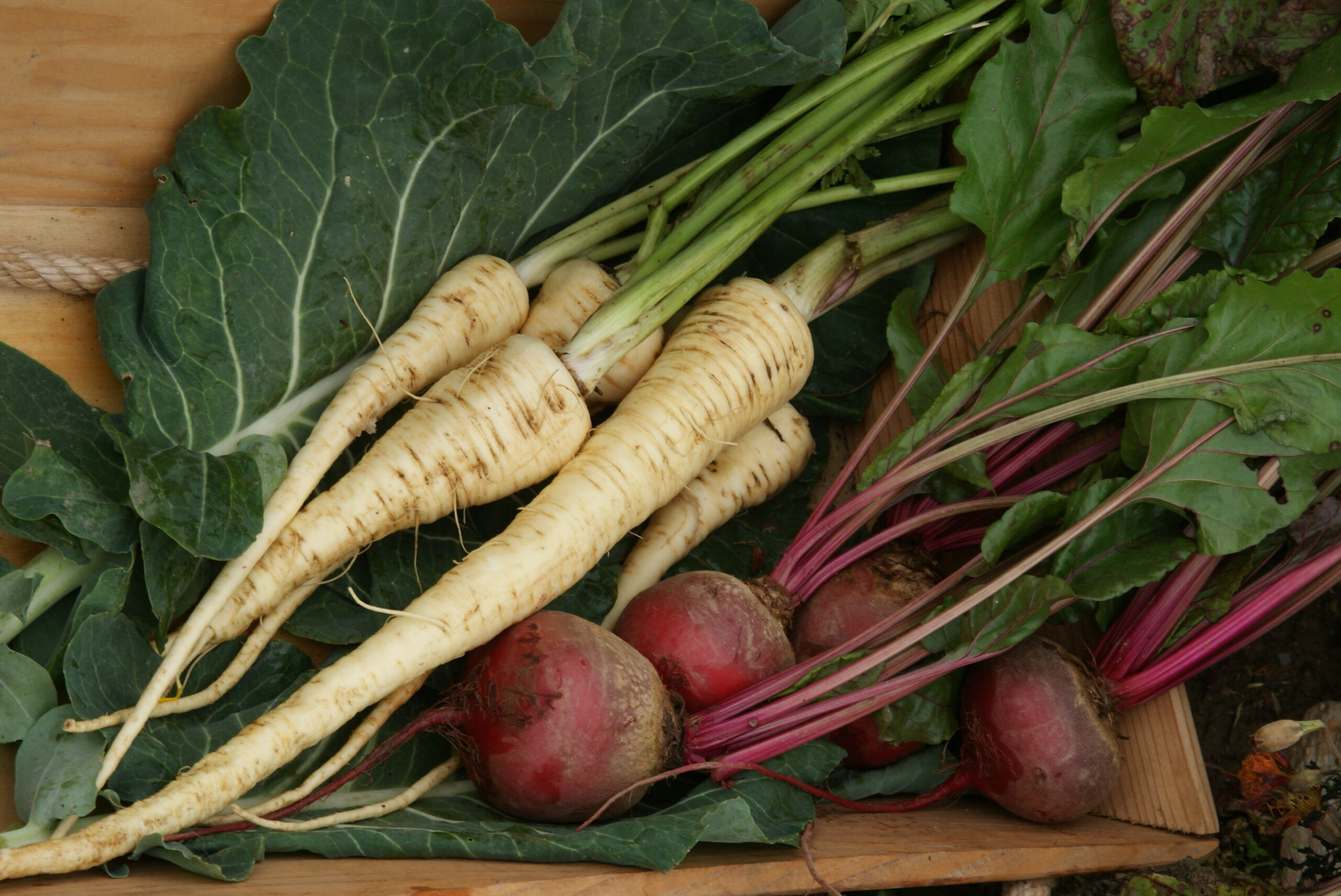 Jardinez avec la lune
