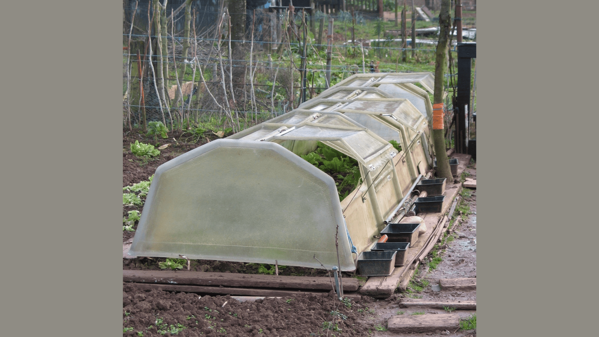 Jardinez avec la lune