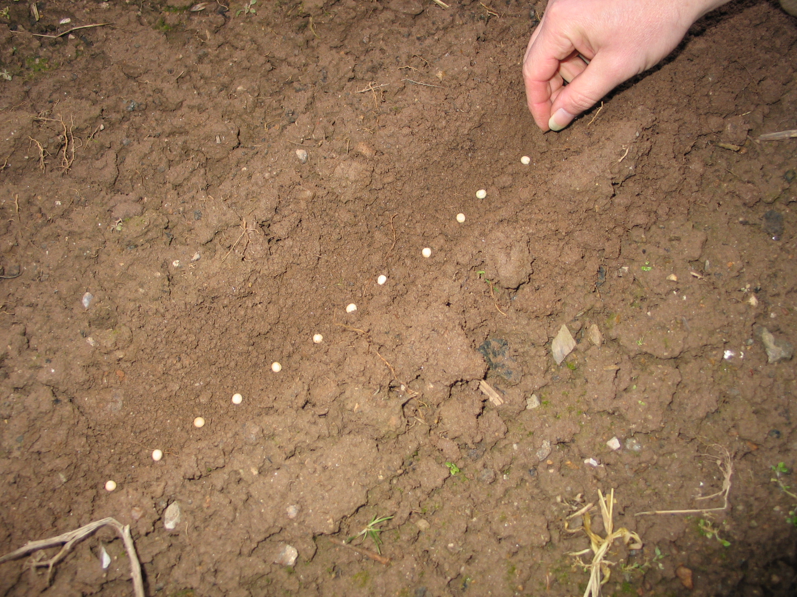 Jardinez avec la lune