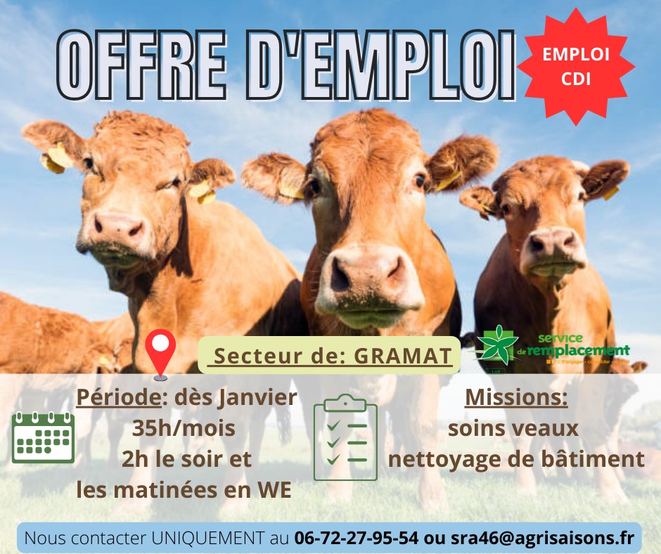 Offre d’emploi