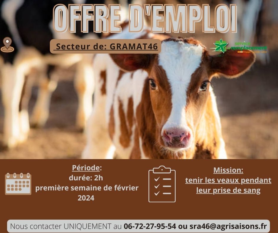 Offre d’emploi