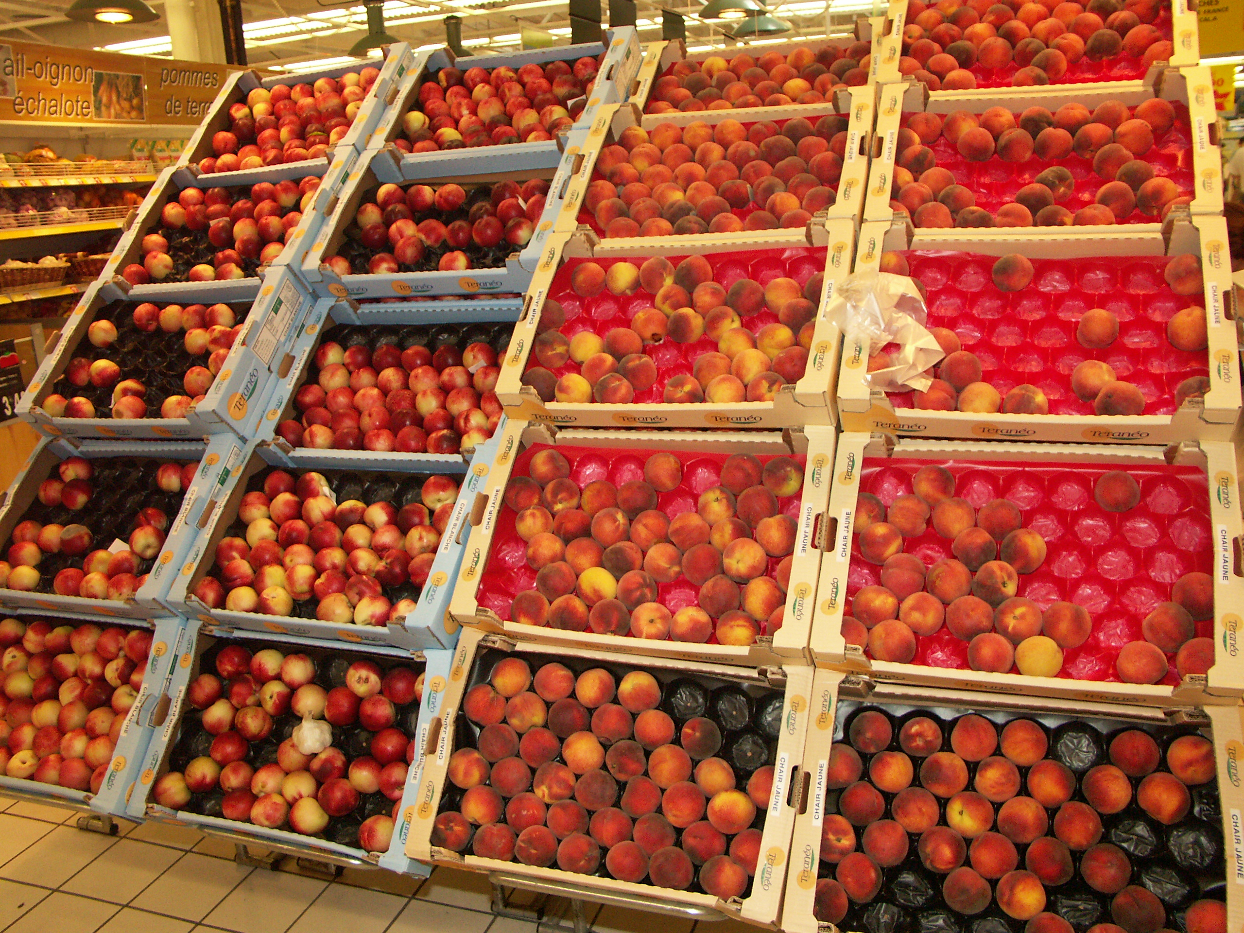 Fruits et légumes transformés&nbsp;: La consommation résiste malgré l’inflation et le recul de la production en 2022