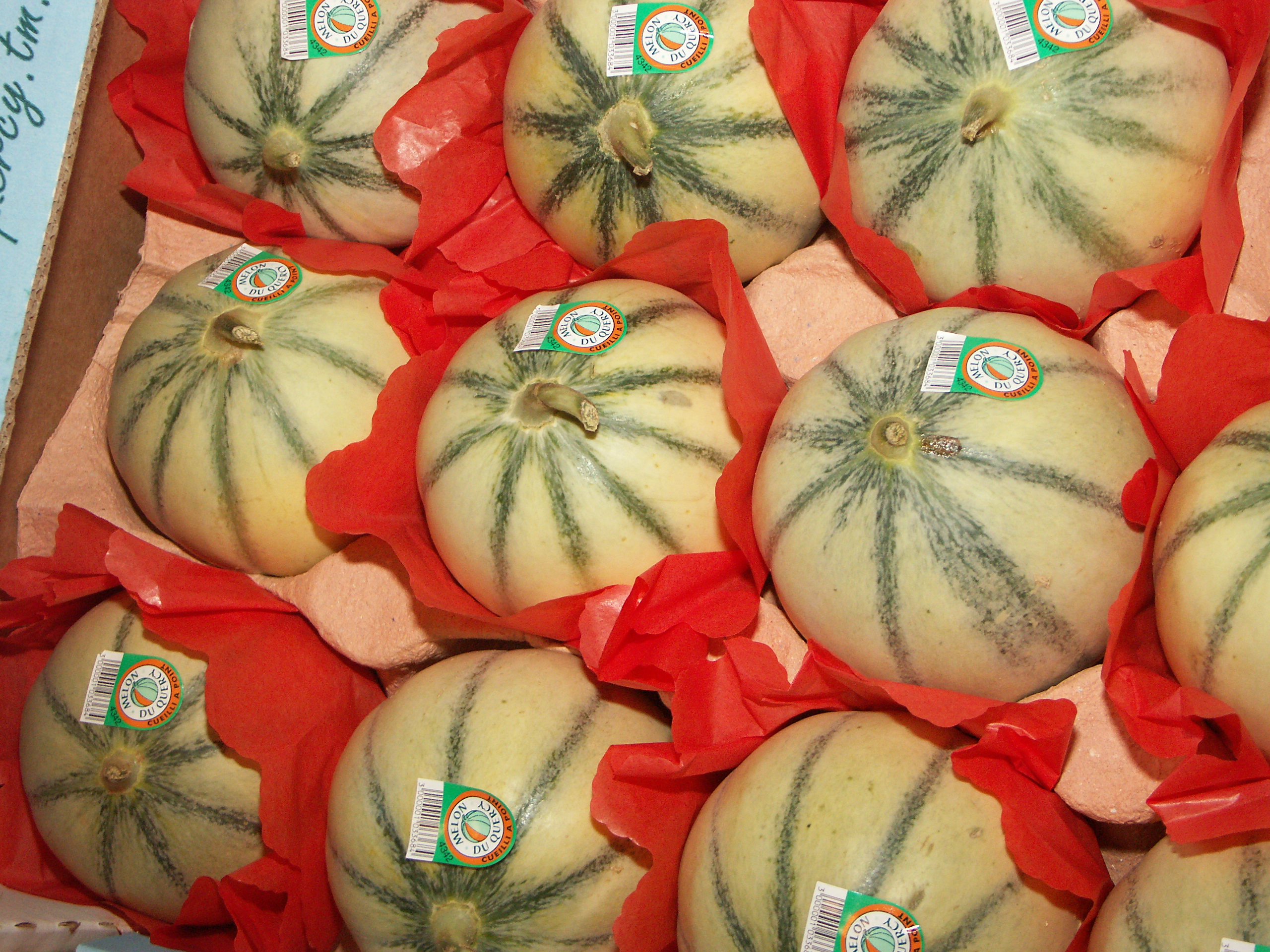 Melon du Quercy&nbsp;: Les variétés conseillées pour 2025