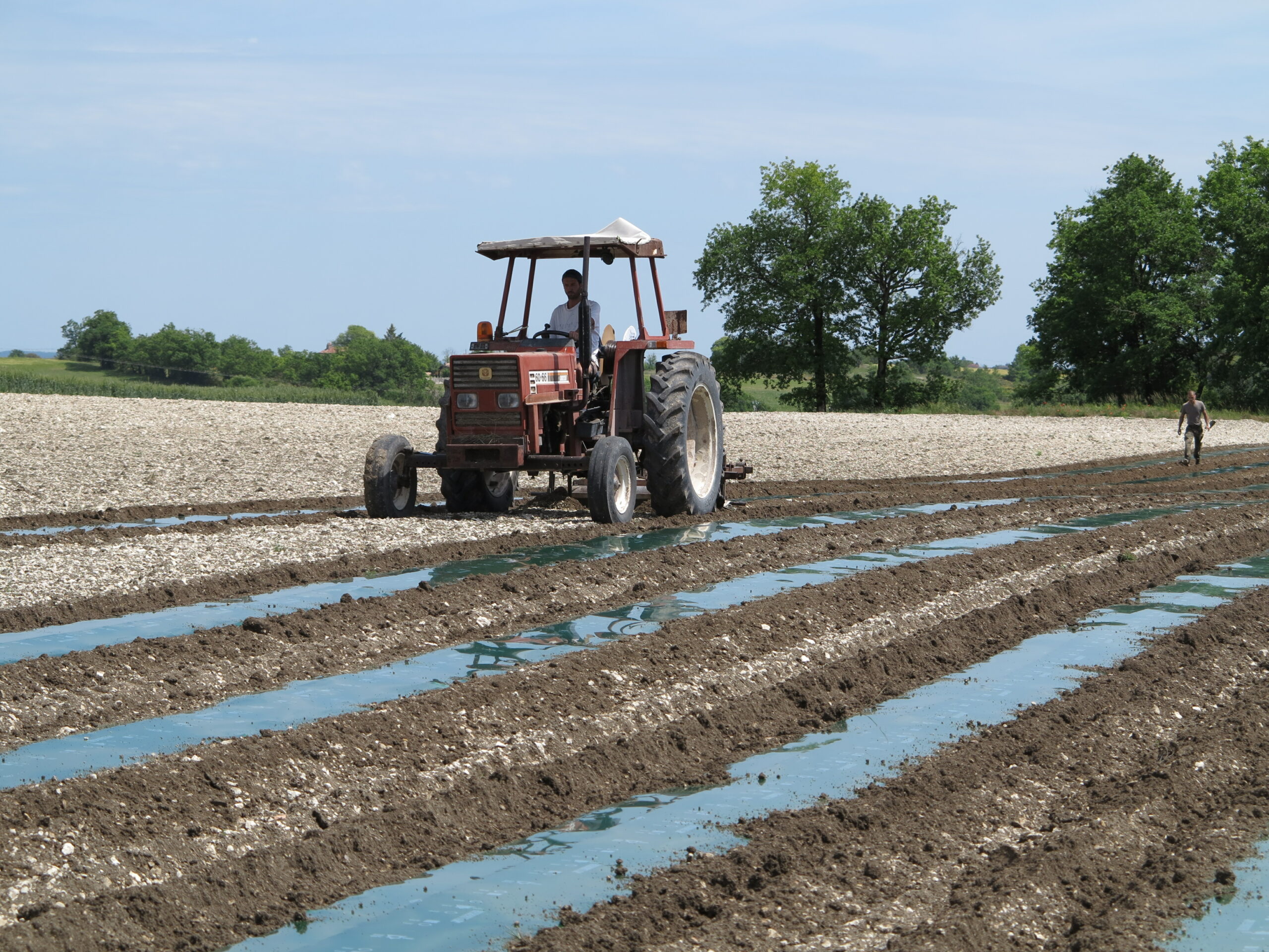 France 2030&nbsp;: Soutien aux investissements dans des agroéquipements innovants de la filière Fruits et légumes