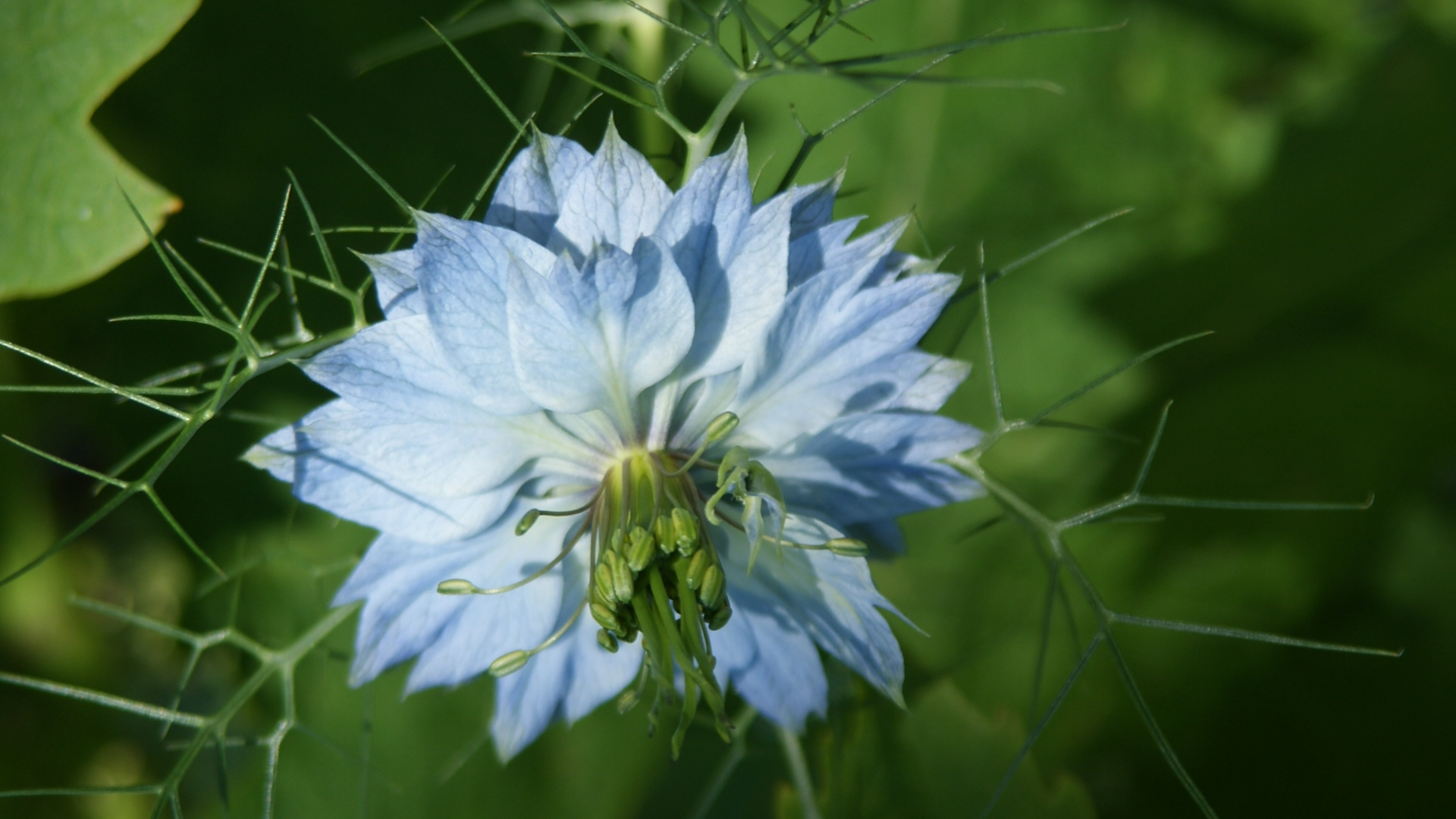 Jardinez avec la lune