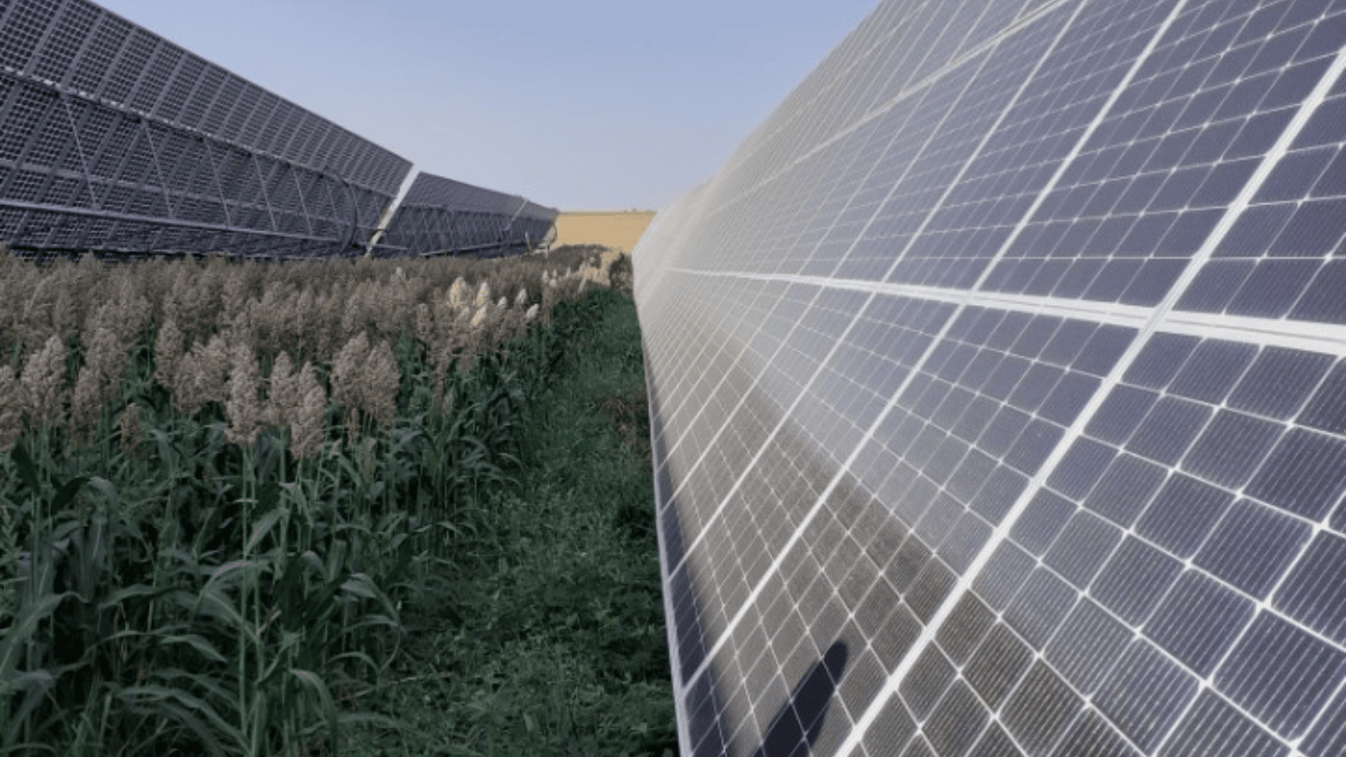 Innov&rsquo;Action&nbsp;: 1er Salon de l&rsquo;énergie solaire en agriculture le 20 février à Gramat