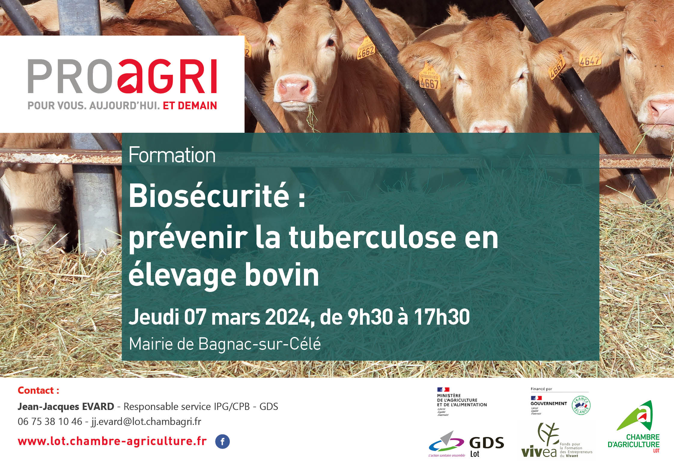[FORMATION] Prévenir la tuberculose en élevage bovin