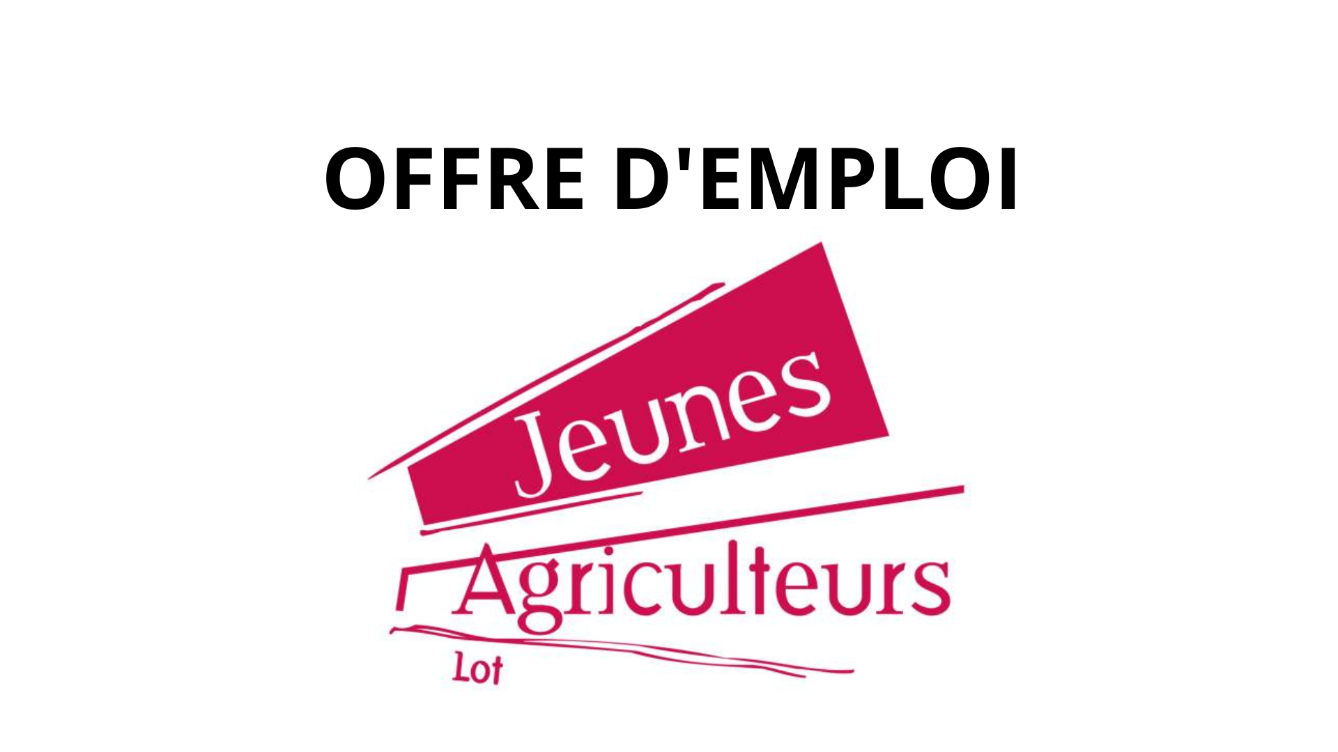 Les Jeunes Agriculteurs Recrutent un(e) animateur(trice) syndical(e)