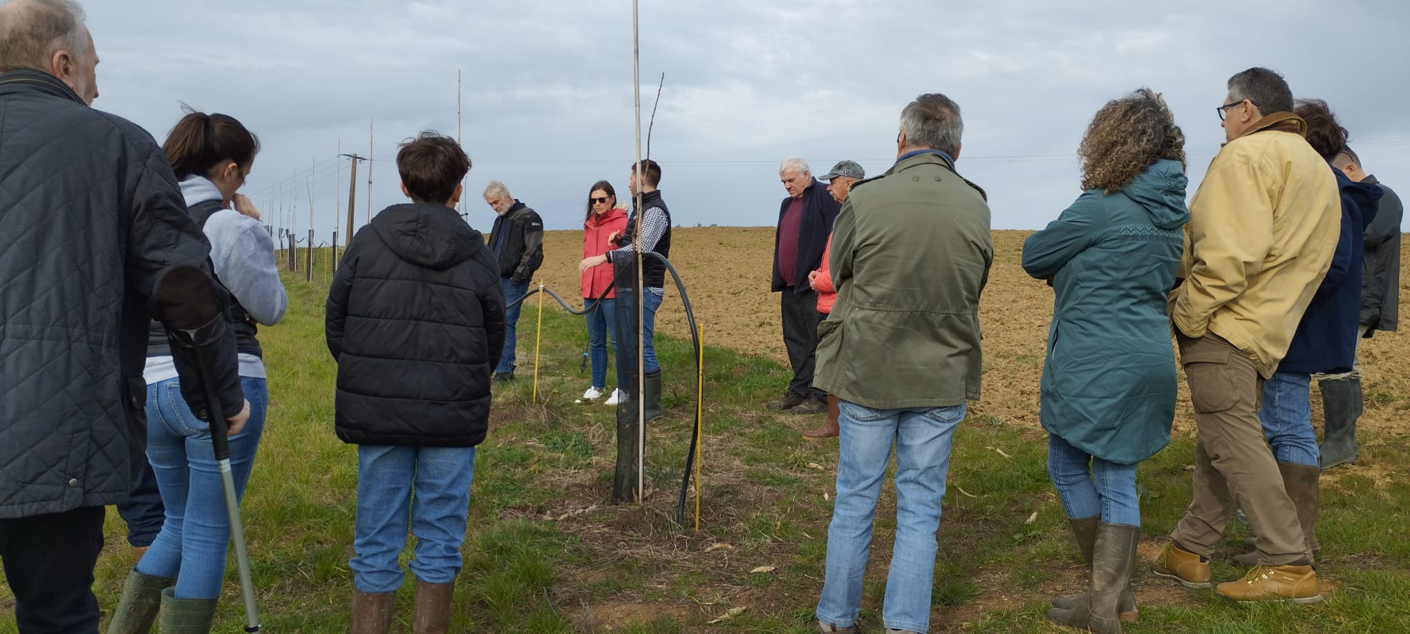 Journée Technique Châtaigne&nbsp;: Relever le défi de la transformation