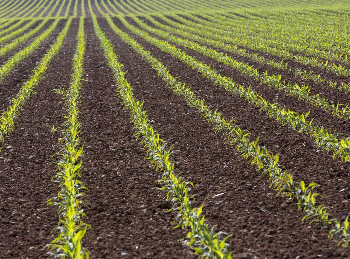 Ferme de Figeac&nbsp;: Journée Contrôle et Réglage de Semoir le 7 mars à Labathude