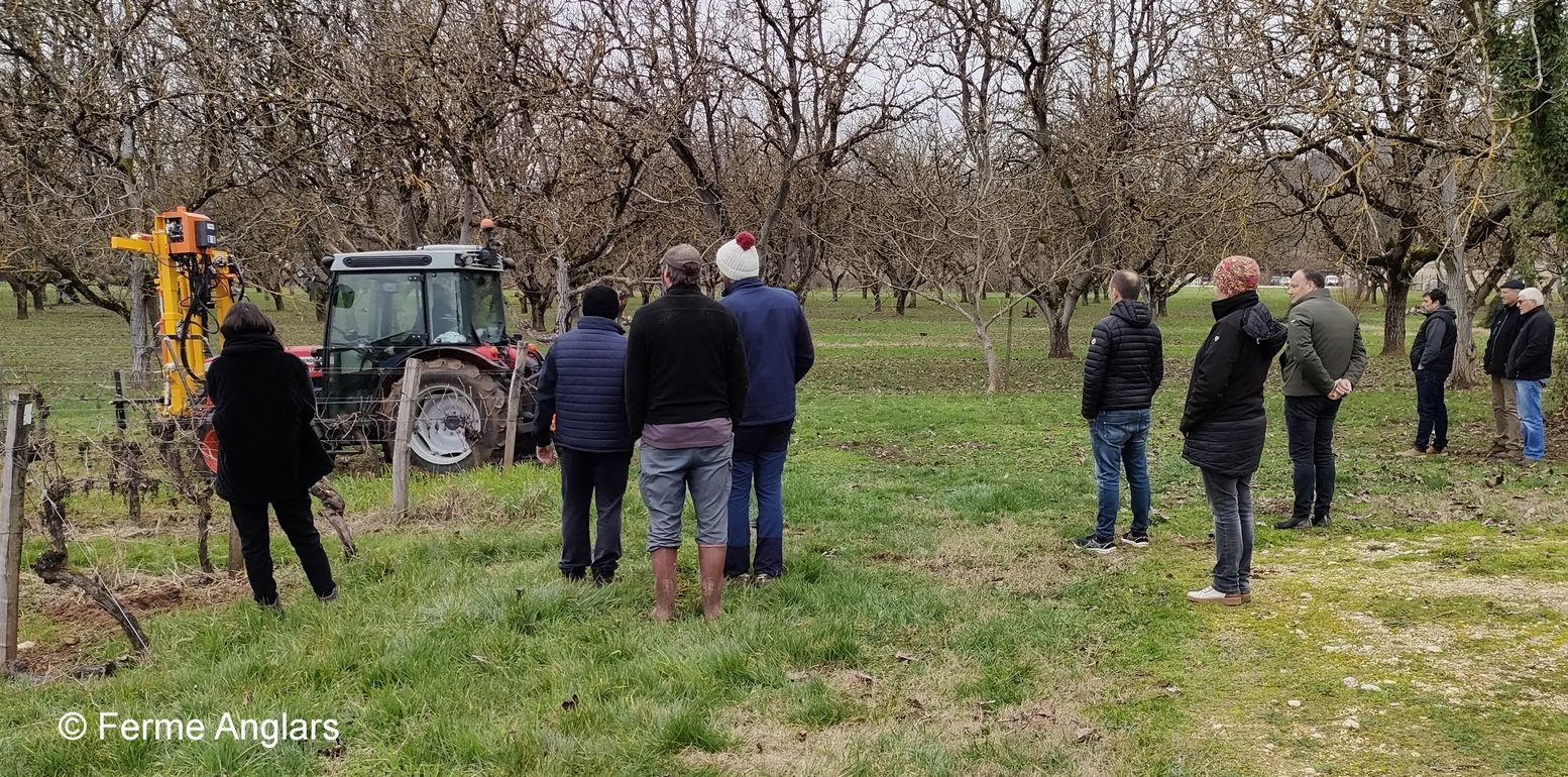 Ferme départementale d’Anglars-Juillac&nbsp;: La taille rase de précision en démonstration
