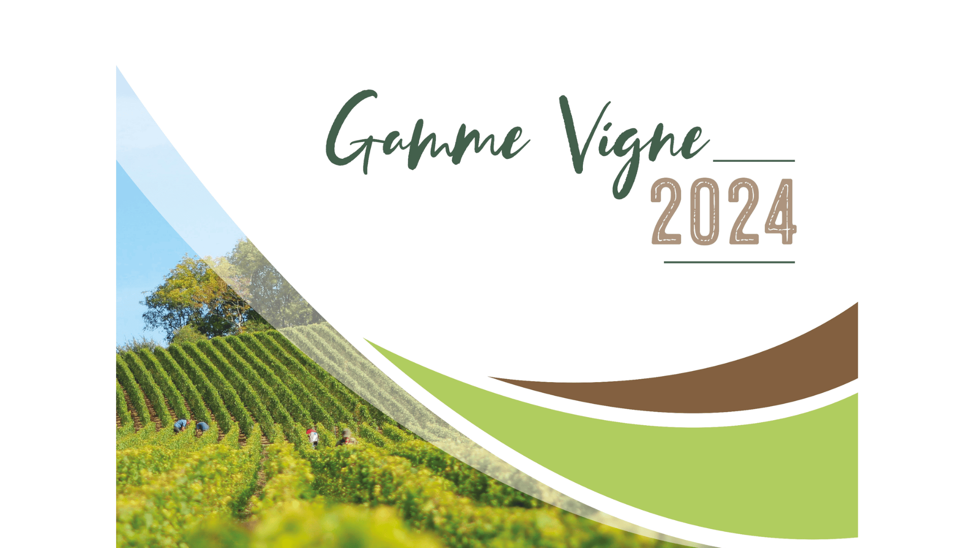 Capel&nbsp;: Gamme Vigne 2024