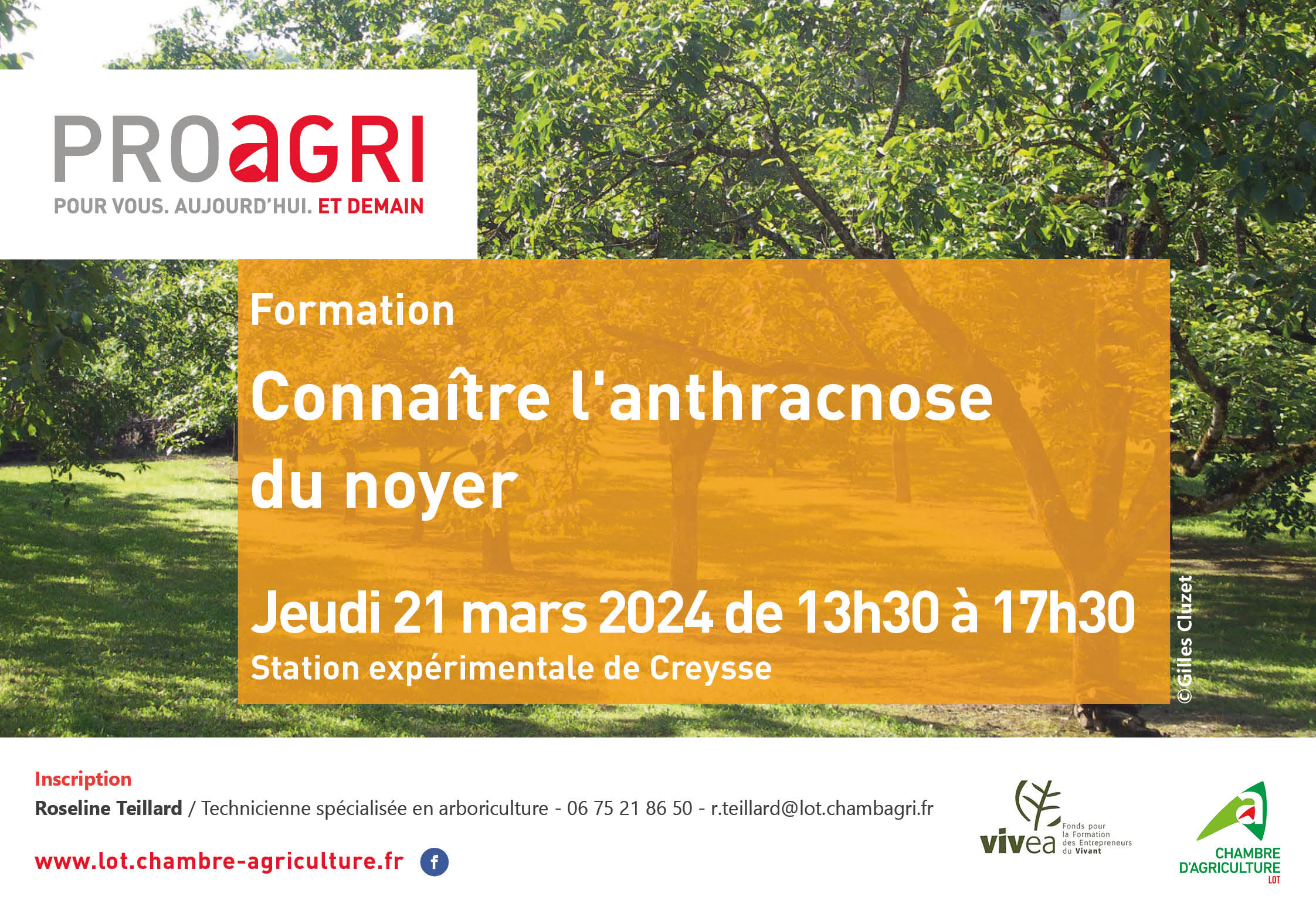 [FORMATION] Connaître l&rsquo;anthracnose du noyer