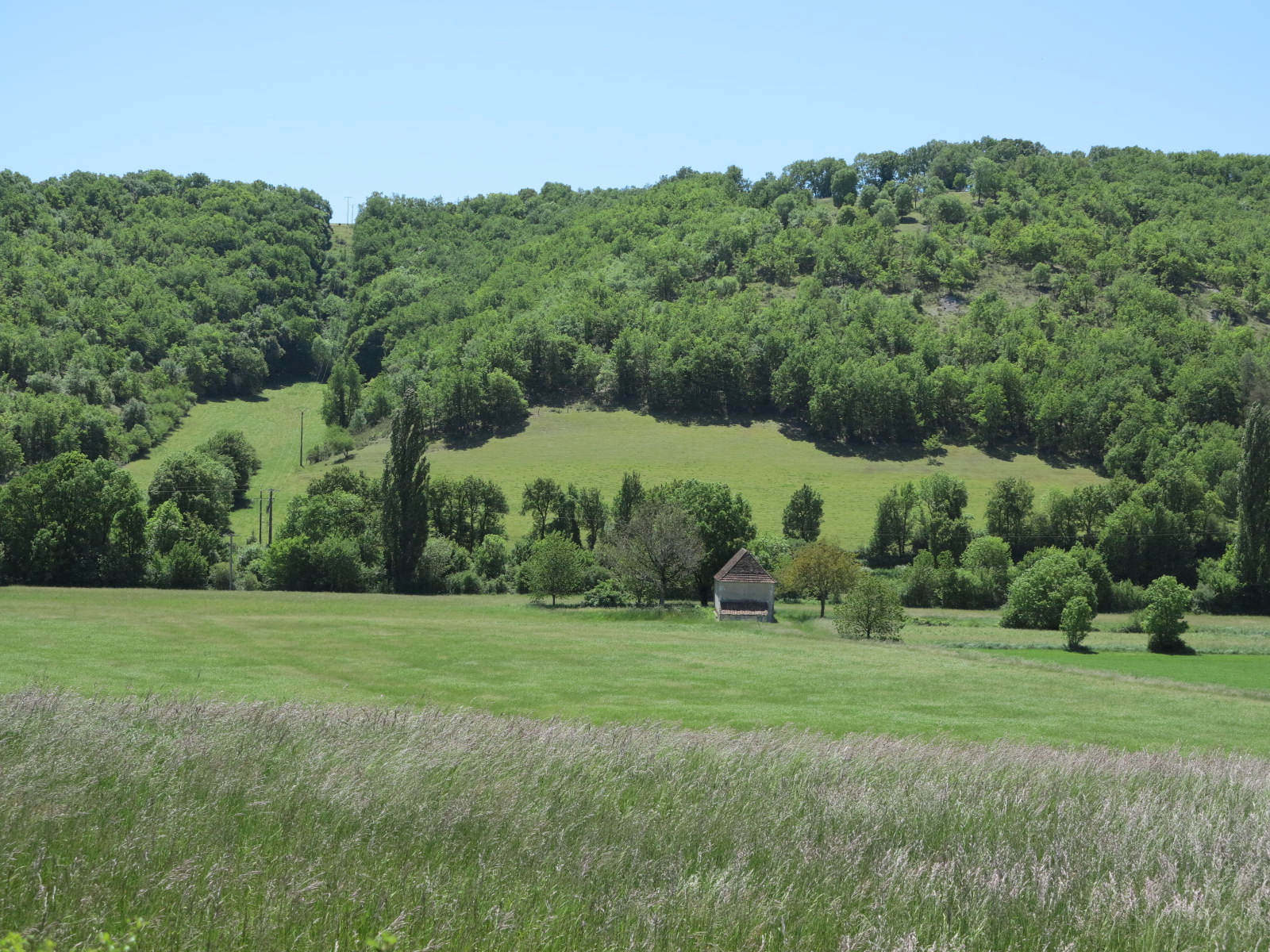 Bonnes pratiques en matière d&rsquo;entretien de haies
