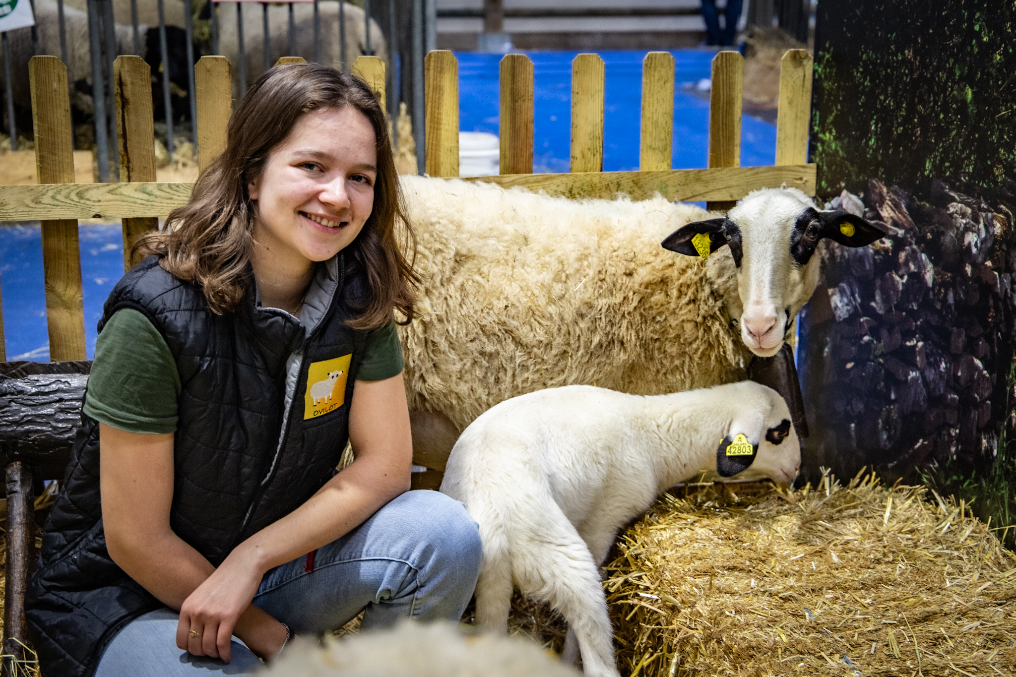 La Journée de Valorisation de la Laine de Brebis au Salon de l&rsquo;Agriculture