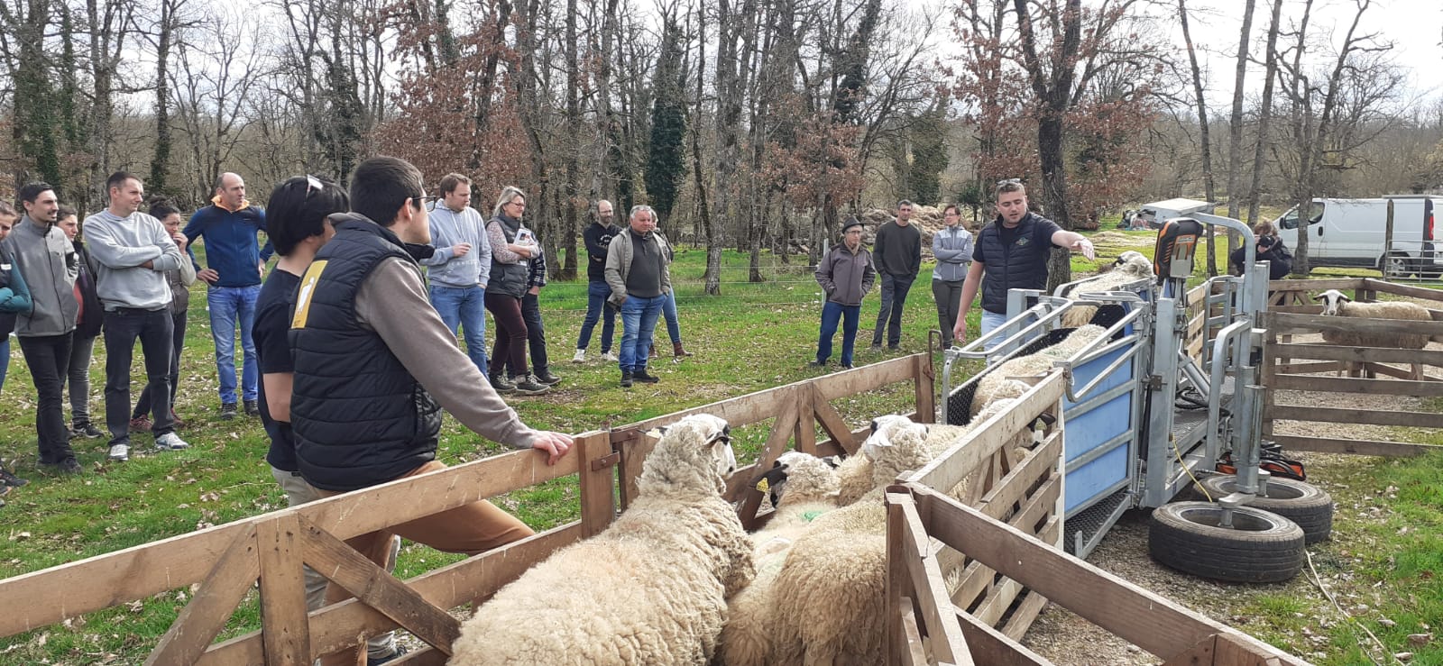 Journée Technique Ovine&nbsp;: Une dixième édition très instructive