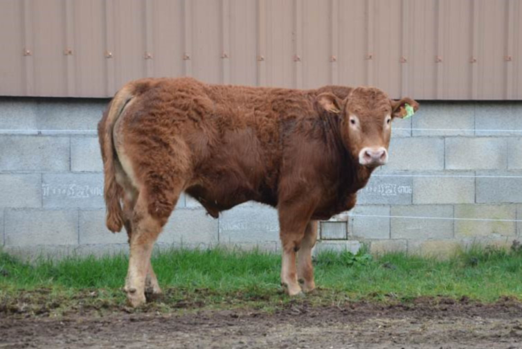 ABL 2&nbsp;: Vente aux enchères mixte le samedi 23 mars à 10h30