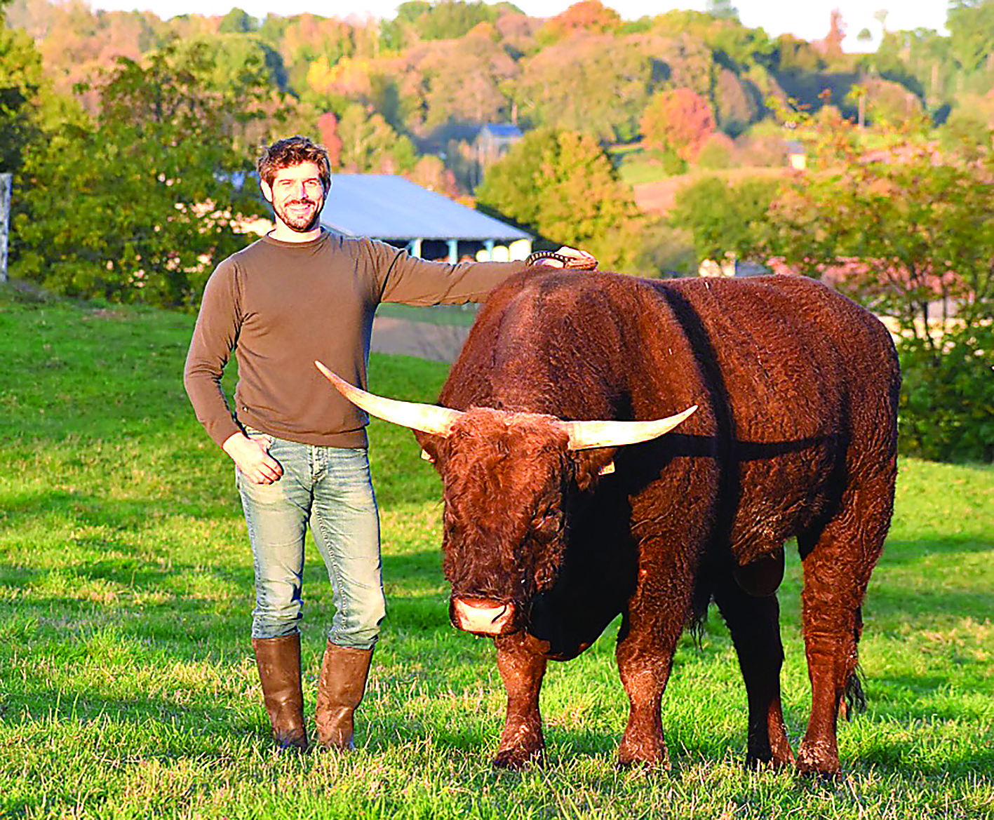 Nouveau président passionné pour le syndicat des éleveurs de la race Salers de la Corrèze.