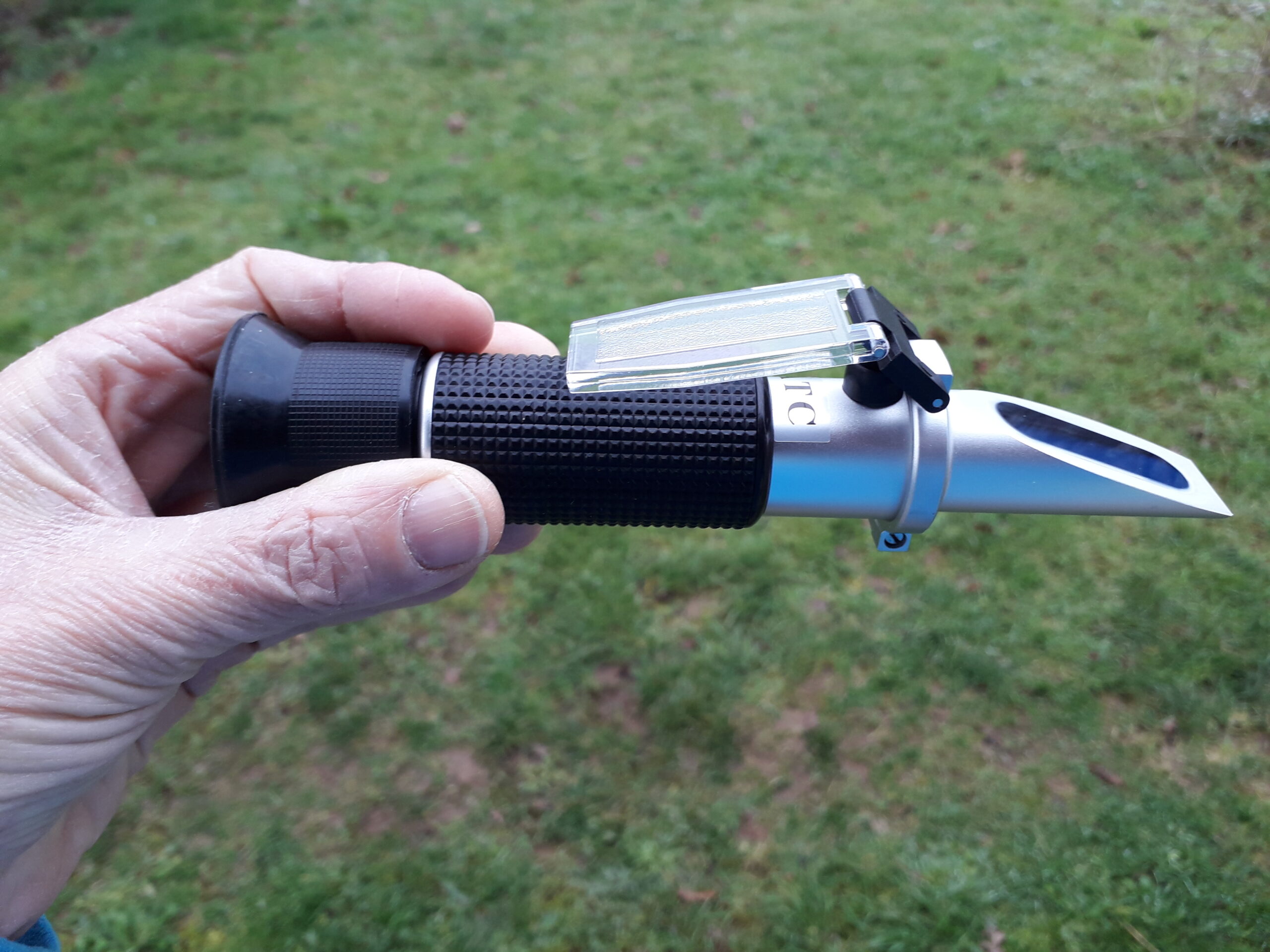 La chronique ovine&nbsp;: Une mise à l’herbe des brebis sans soucis