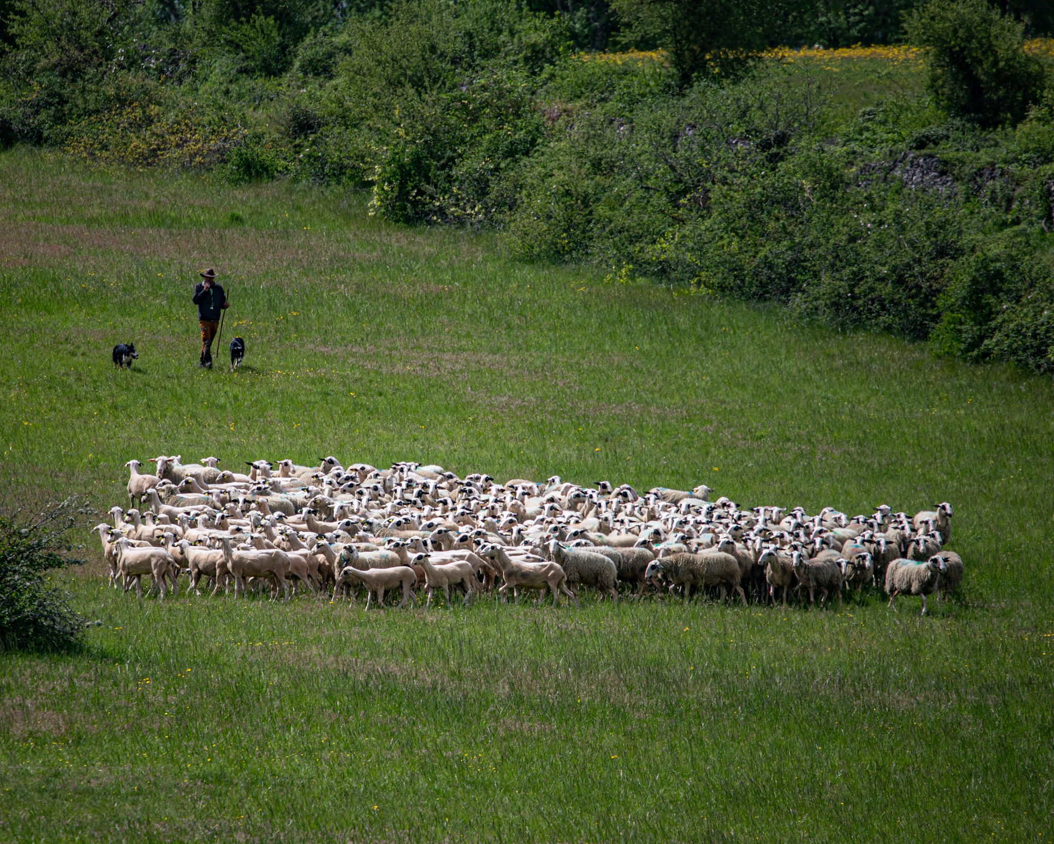 Une Journée Couronnée de succès