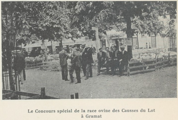 [RAPPEL] Terre en Fête 2024&nbsp;: Concours race Causses du Lot