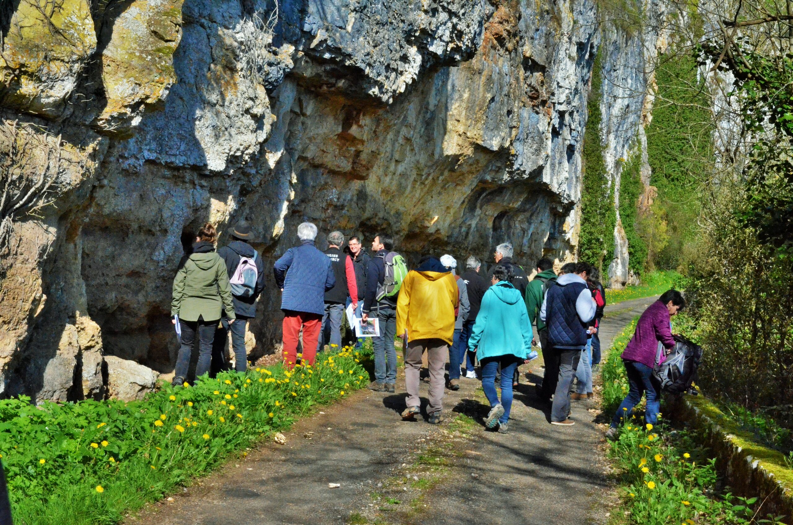 Événement – Les causseries – Histoire de coupe