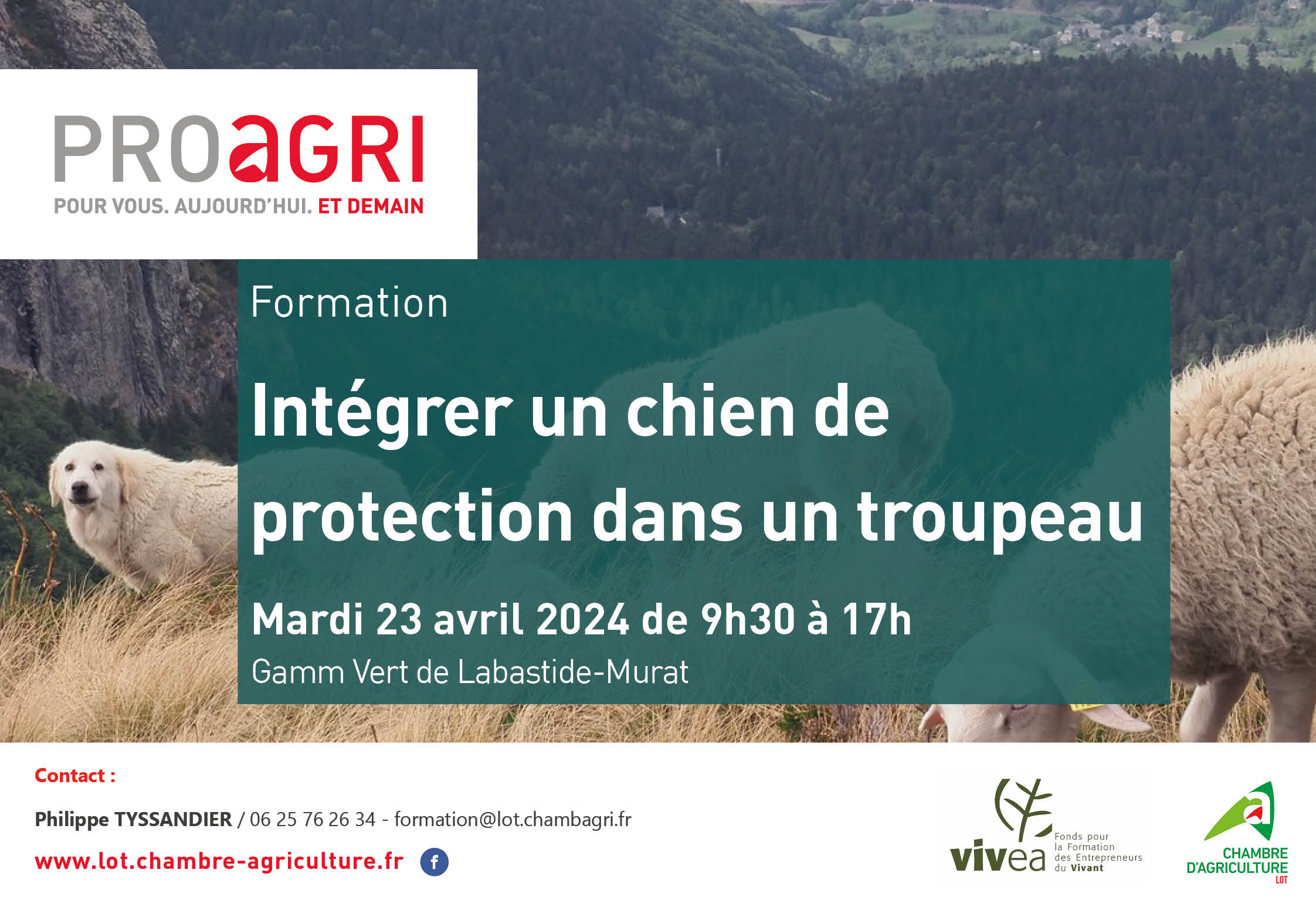 [Formation] Intégrer un chien de protection dans un troupeau&nbsp;: mardi 23 avril 2024.