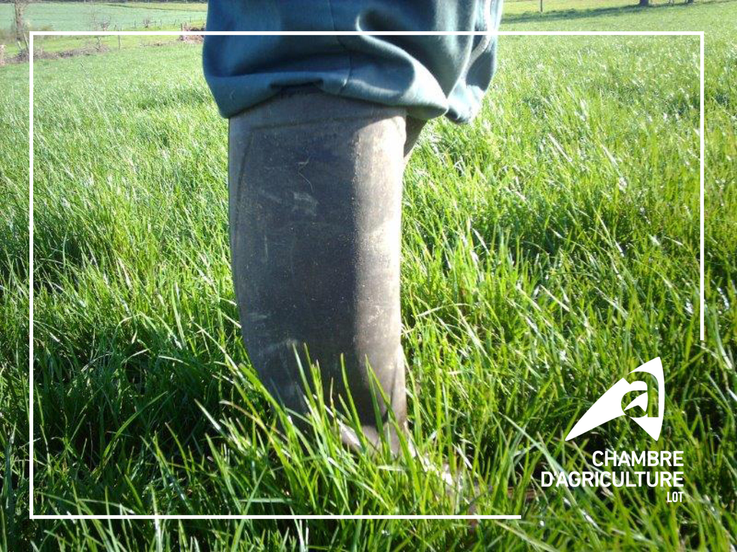 Observatoire de la pousse de l&rsquo;herbe