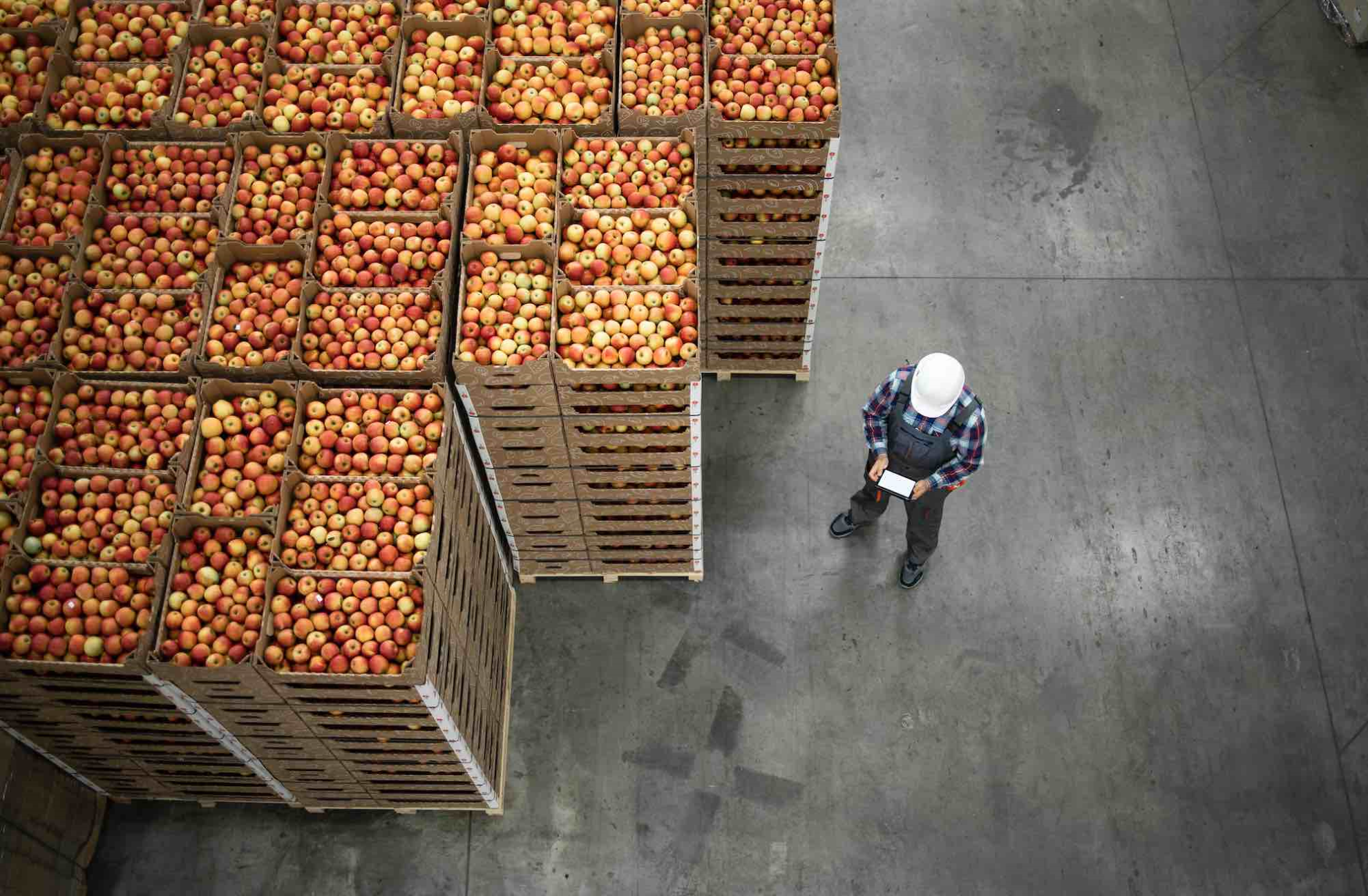 Révision de la zone de libre-échange UE–Moldavie&nbsp;: Colère et incompréhension de la filière fruitière française&nbsp;!