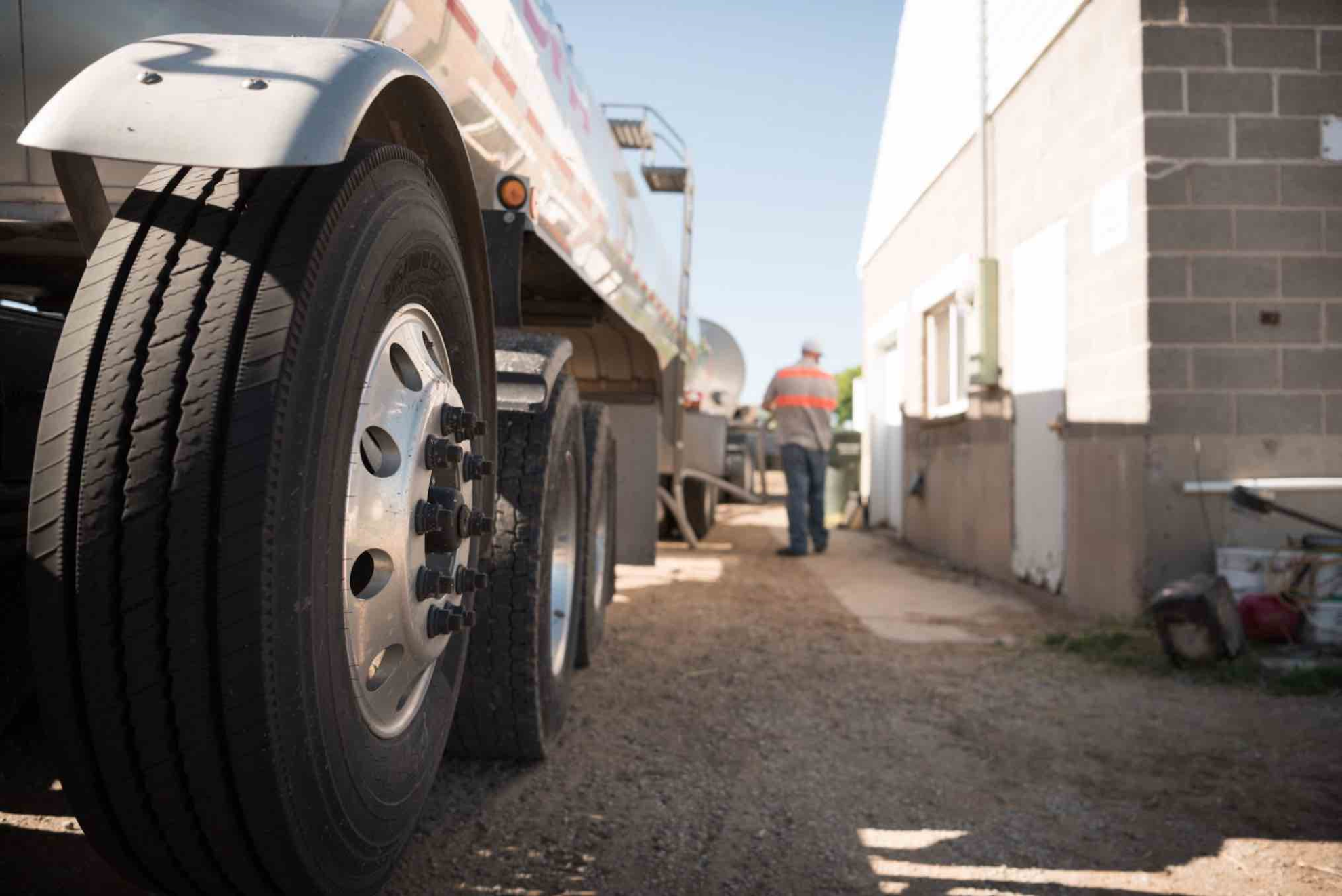 La collecte de lait de vache&nbsp;: + 4&nbsp;% en un an
