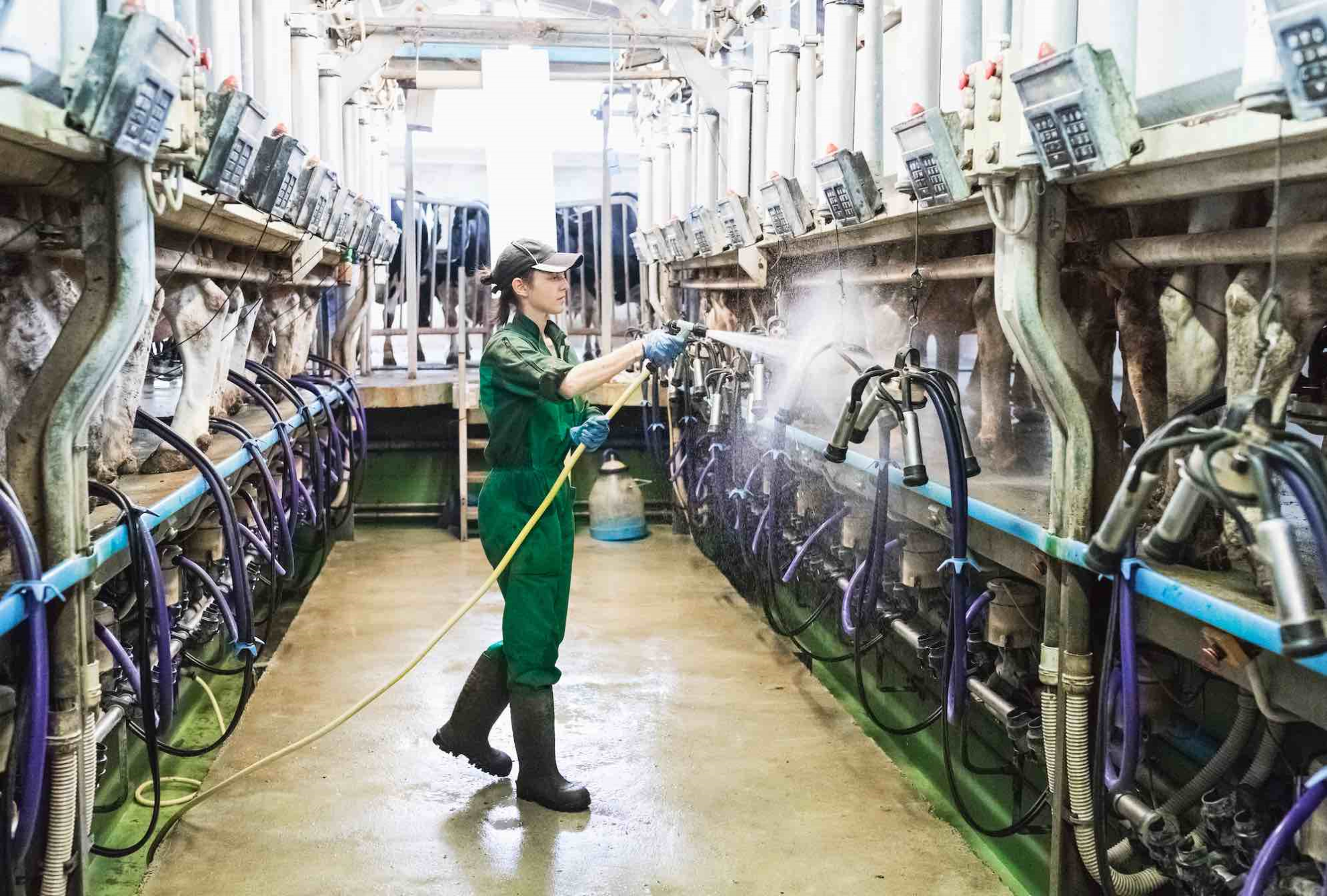 Renouvèlement des générations&nbsp;: le pic démographique est passé