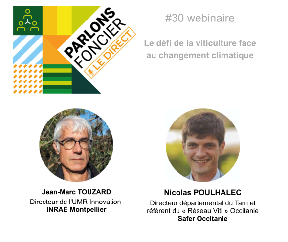 SAFER&nbsp;: Parlons Foncier – Le defi de la viticulture face au changement climatique le 24 avril