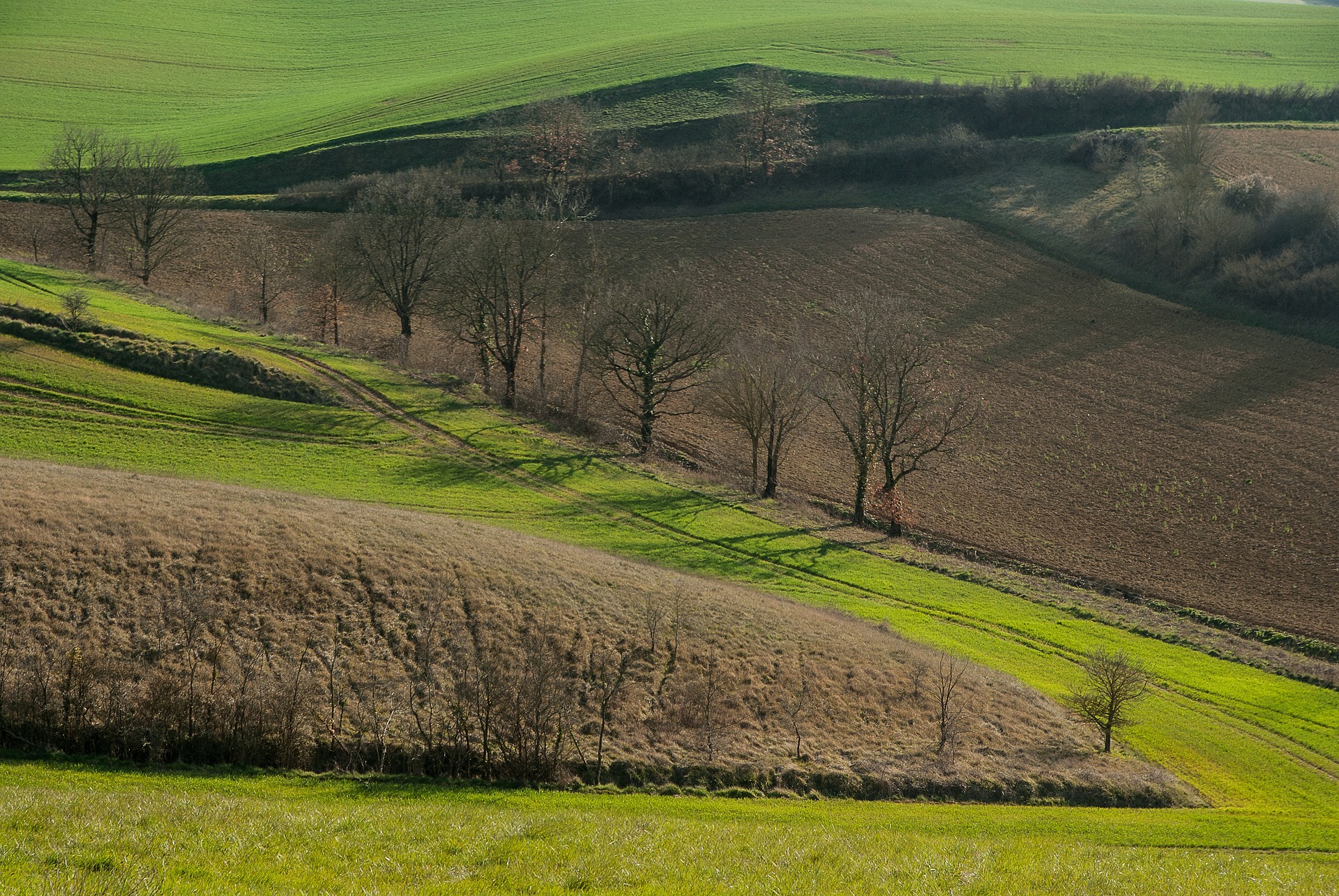 L’Occitanie, première région à disposer d’un inventaire des friches agricoles