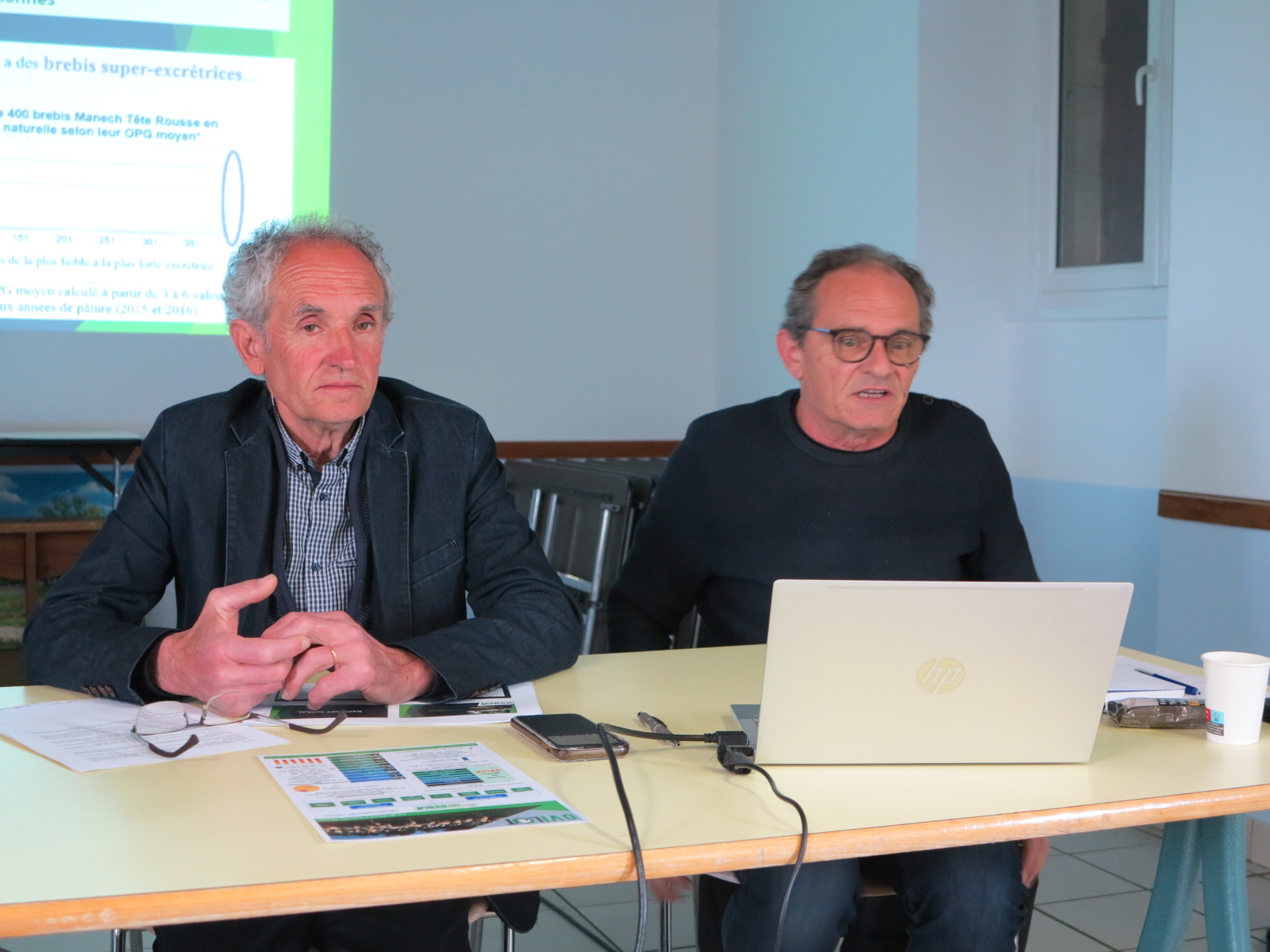 Ovilot&nbsp;: Trente ans de génétique au service de la filière ovine