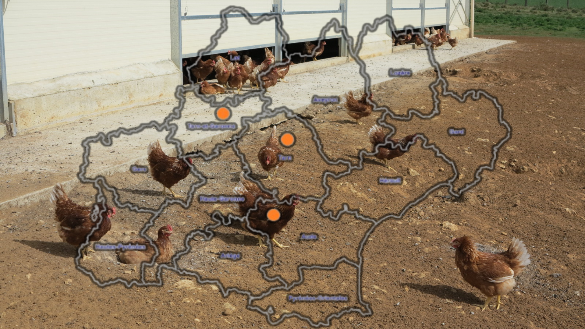 Journées Techniques Avicoles d’Occitanie&nbsp;: du 21 au 23 mai