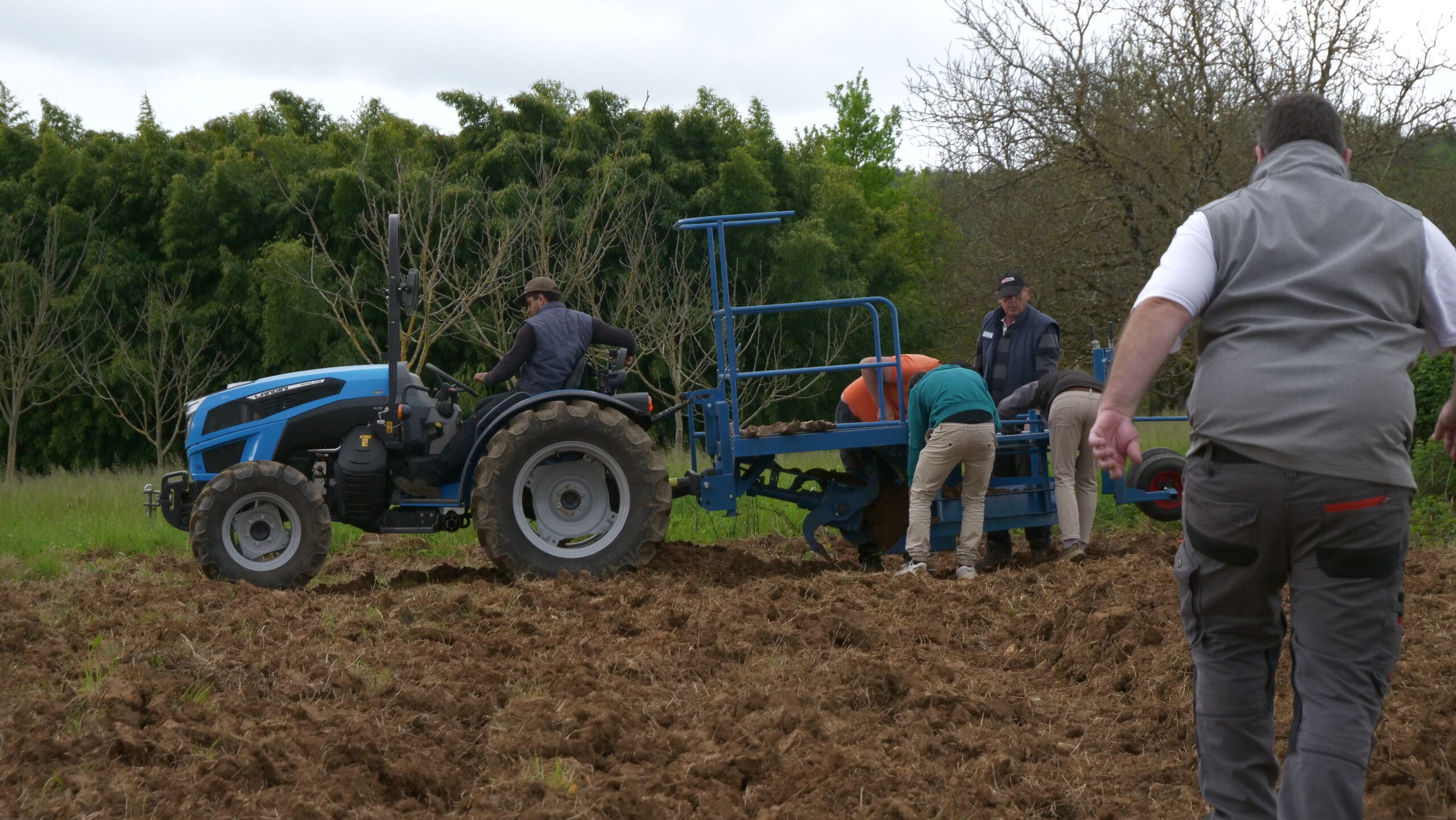 Dordogne&nbsp;: 7 ha de bambou plantés avec Horizom