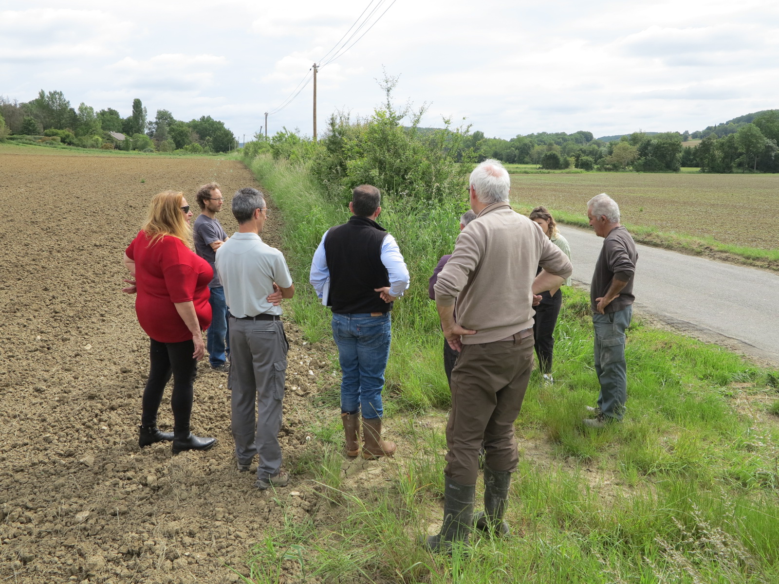 Association Arbres-haies-paysages 46&nbsp;: Gestion et valorisation des haies en Quercy blanc