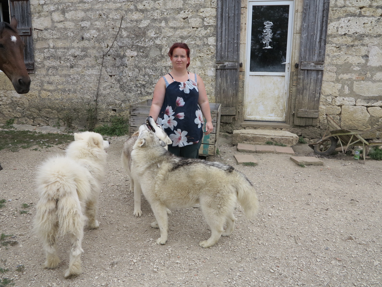 Installation originale&nbsp;: Blandine Broze élève des chiens de race