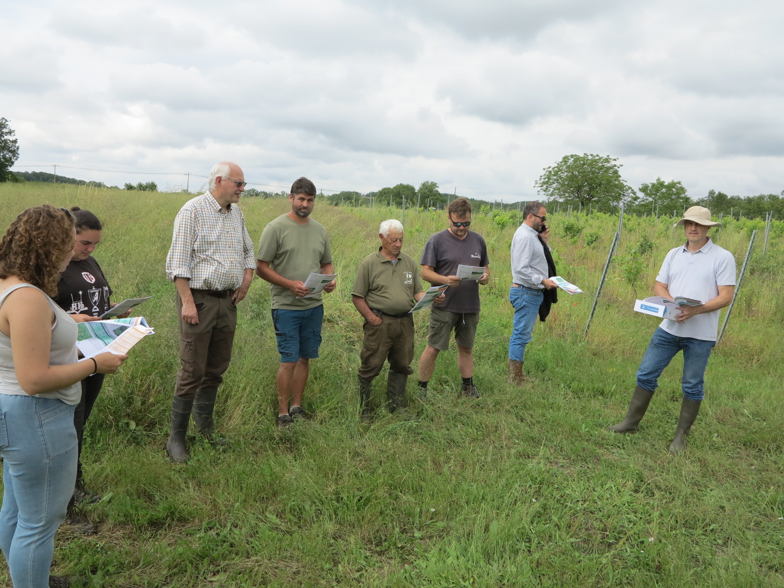 Jachères de biodiversité&nbsp;: De multiples intérêts constatés