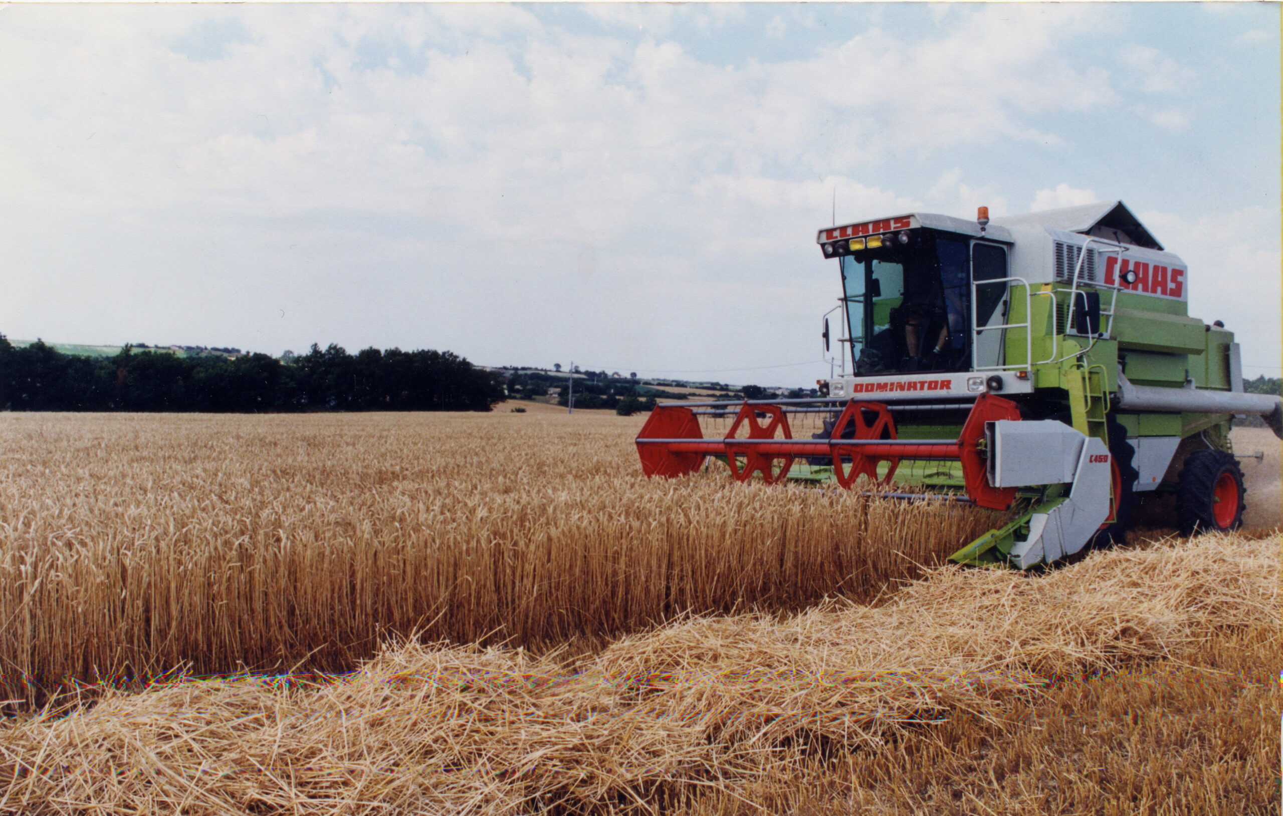 Récolte de blé&nbsp;: Des rendements nationaux en forte baisse