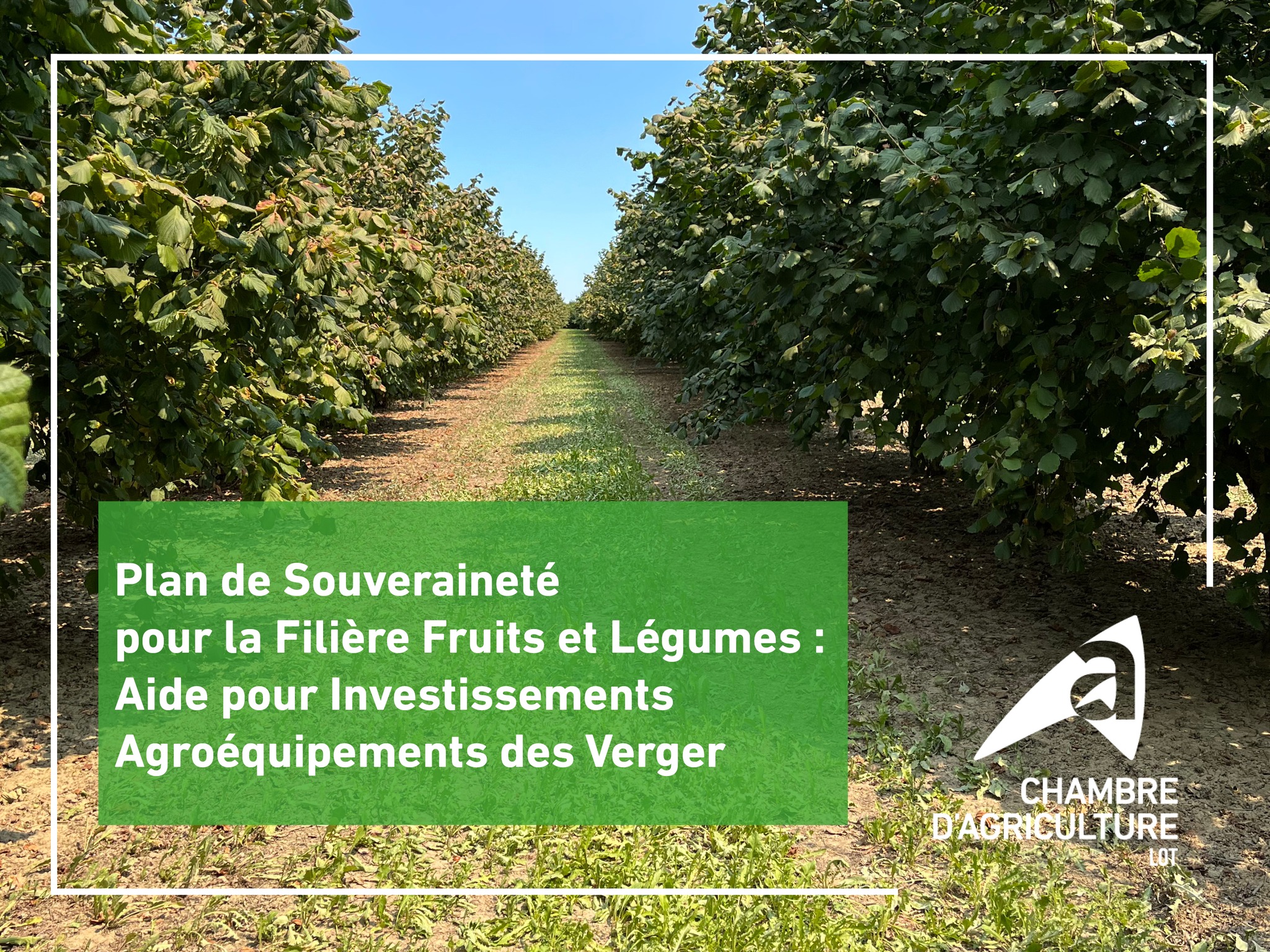  Nouvelle Aide pour les Vergers&nbsp;: 7,7 Millions d&rsquo;Euros pour des Agroéquipements Écologiques