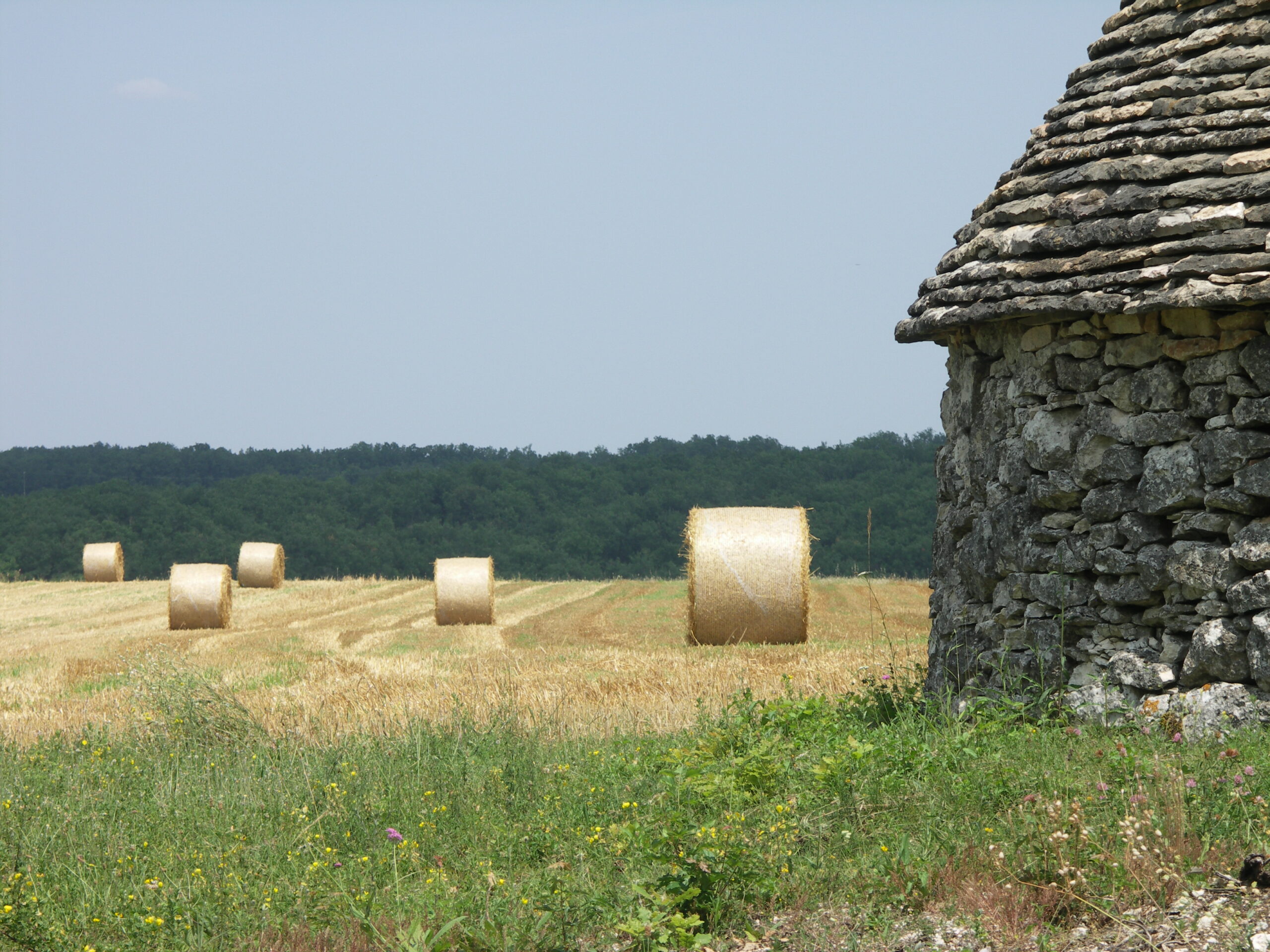 Labellisation HVE 4&nbsp;: Le crédit d’impôt est maintenu
