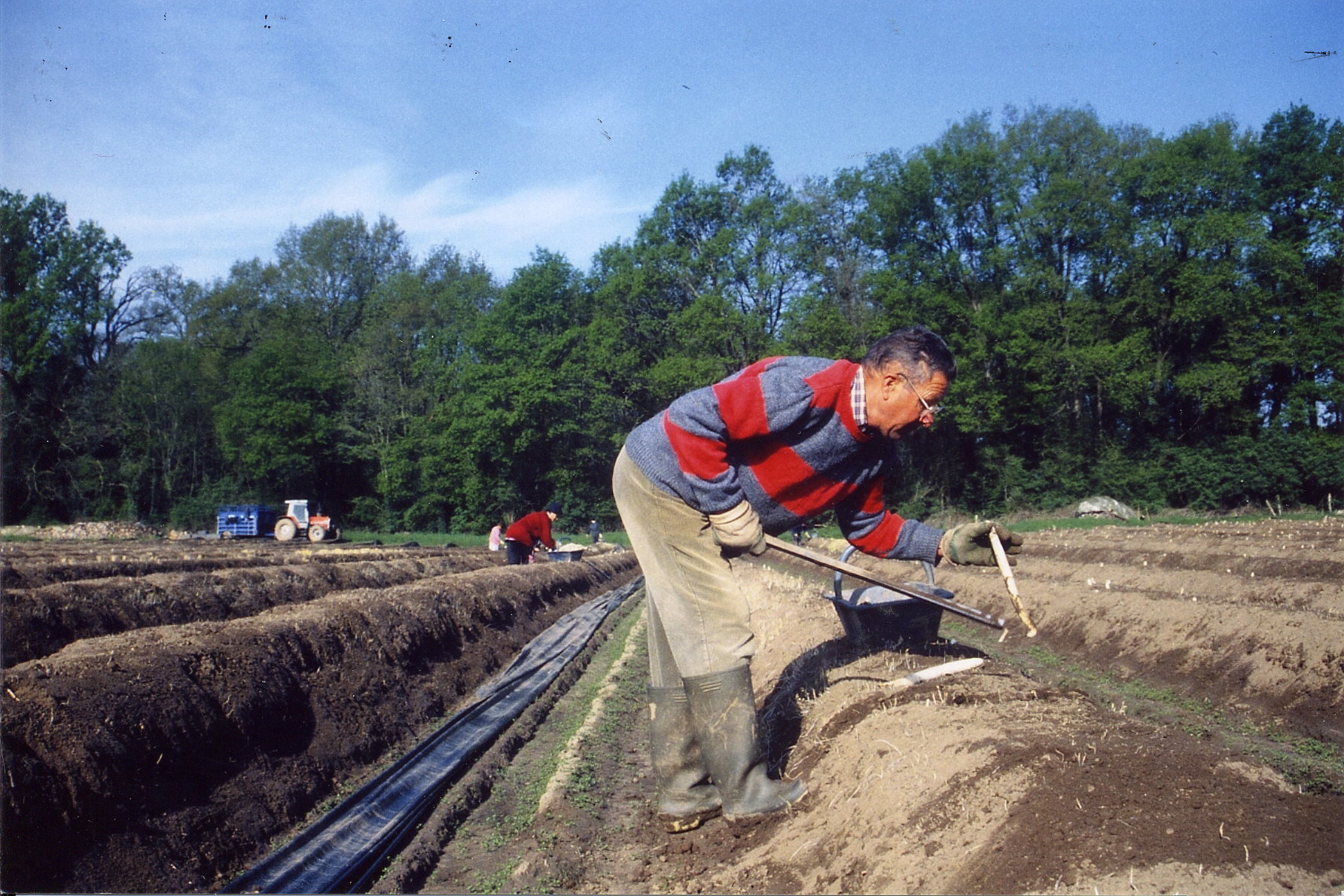 MSA&nbsp;: L’embauche de salariés, des règles à respecter