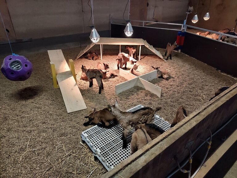 Enquête sur l&rsquo;Enrichissement du Milieu des Chevrettes&nbsp;: Participez et Donnez Votre Avis