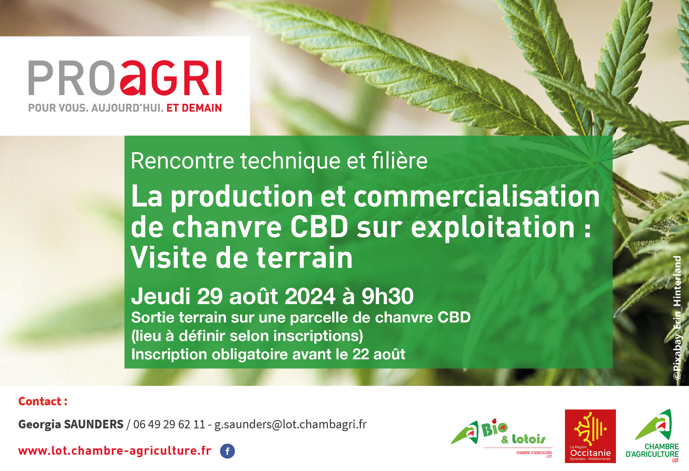 Rencontre technique | La production et commercialisation de chanvre CBD sur exploitation&nbsp;: Visite de terrain