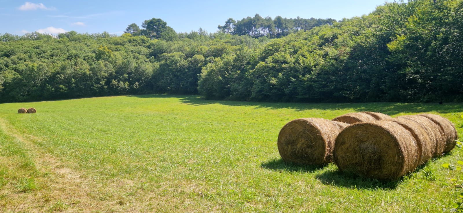 Chronique juridique&nbsp;: Comprendre le statut du fermage