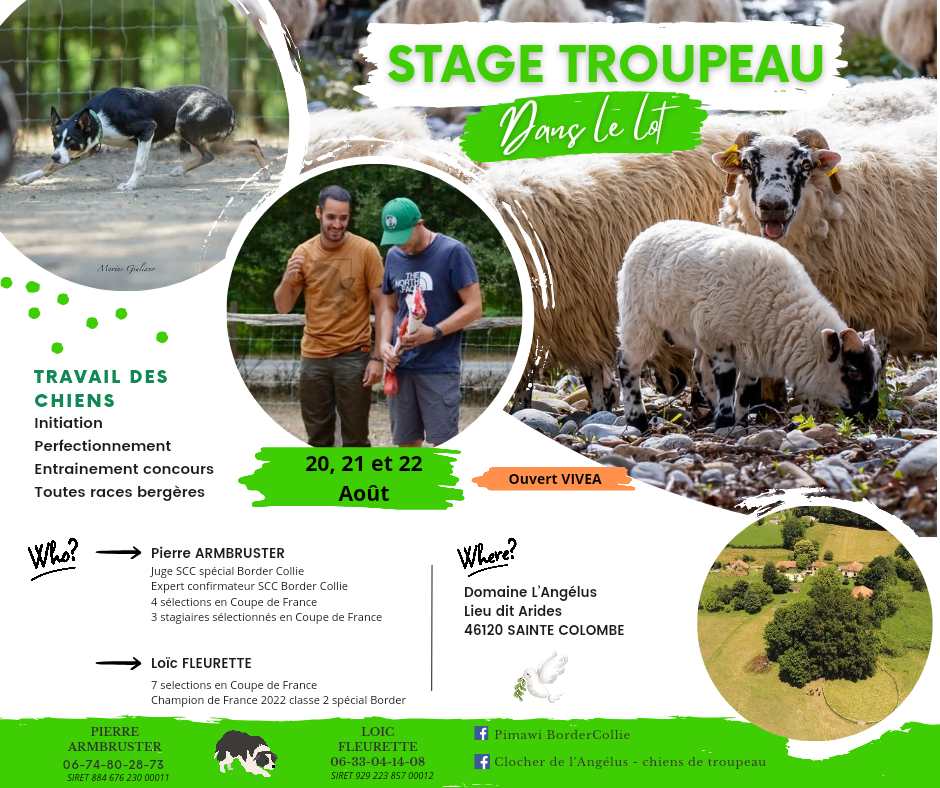 Lot – Sainte-Colombe&nbsp;: Stage troupeau les 20, 21 et 22 août