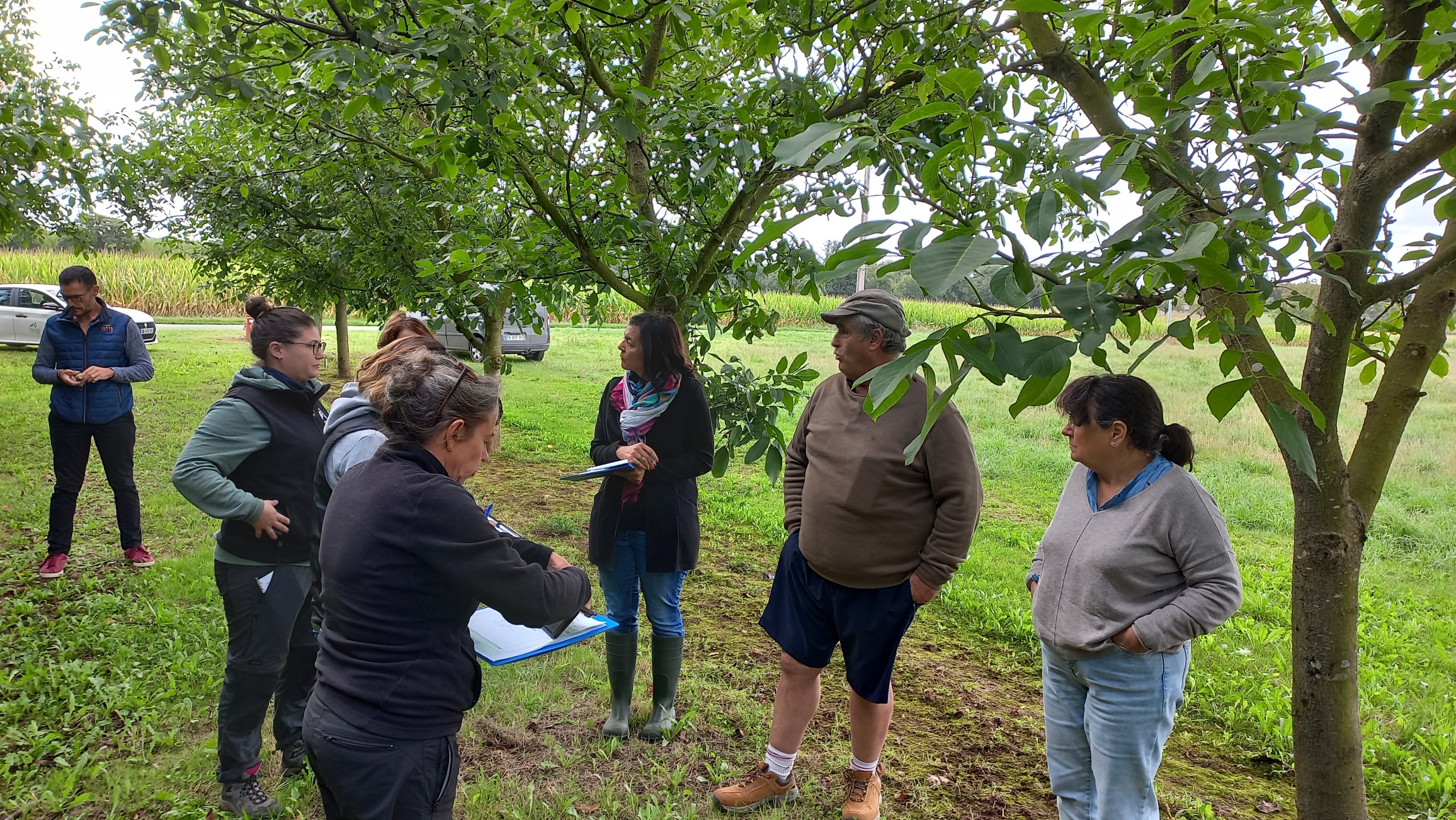 Dégâts climatiques sur cultures&nbsp;: Le comité départemental d’expertise avalise les pertes