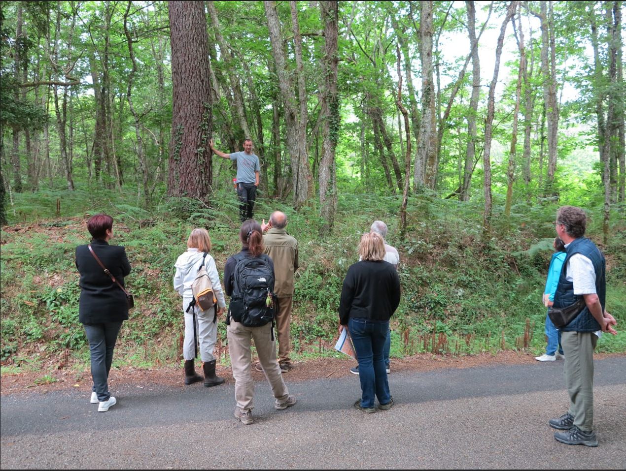 Gestion durable des peuplements forestiers&nbsp;: La Chambre d’agriculture conseille les agriculteurs propriétaires